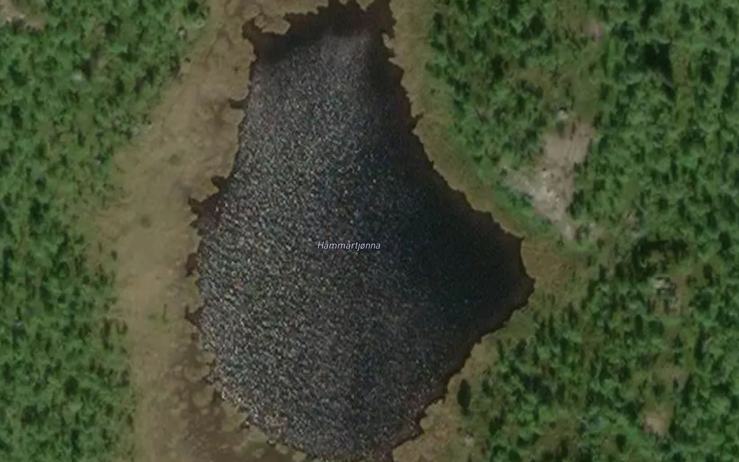 Hammartjorna