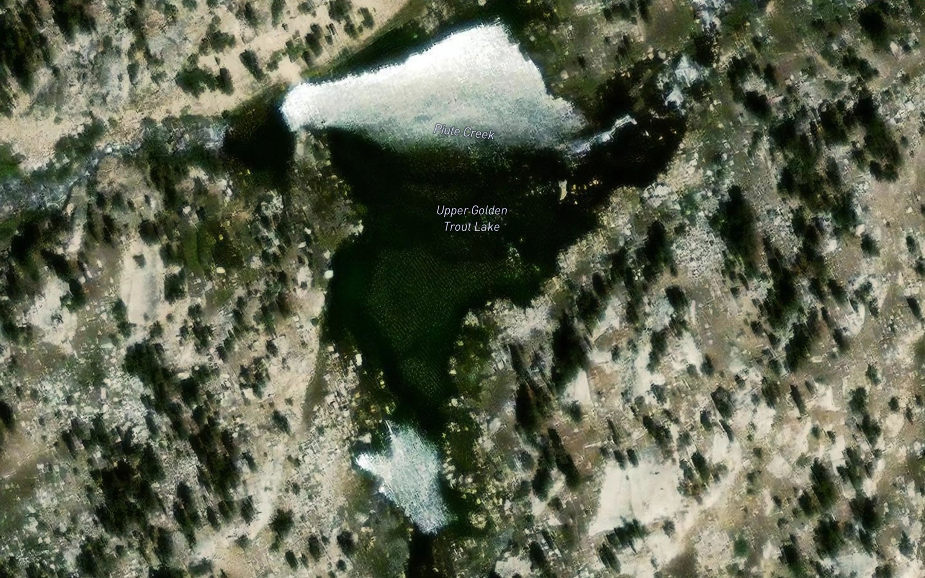 Satellite map of the Upper Golden Trout Lake