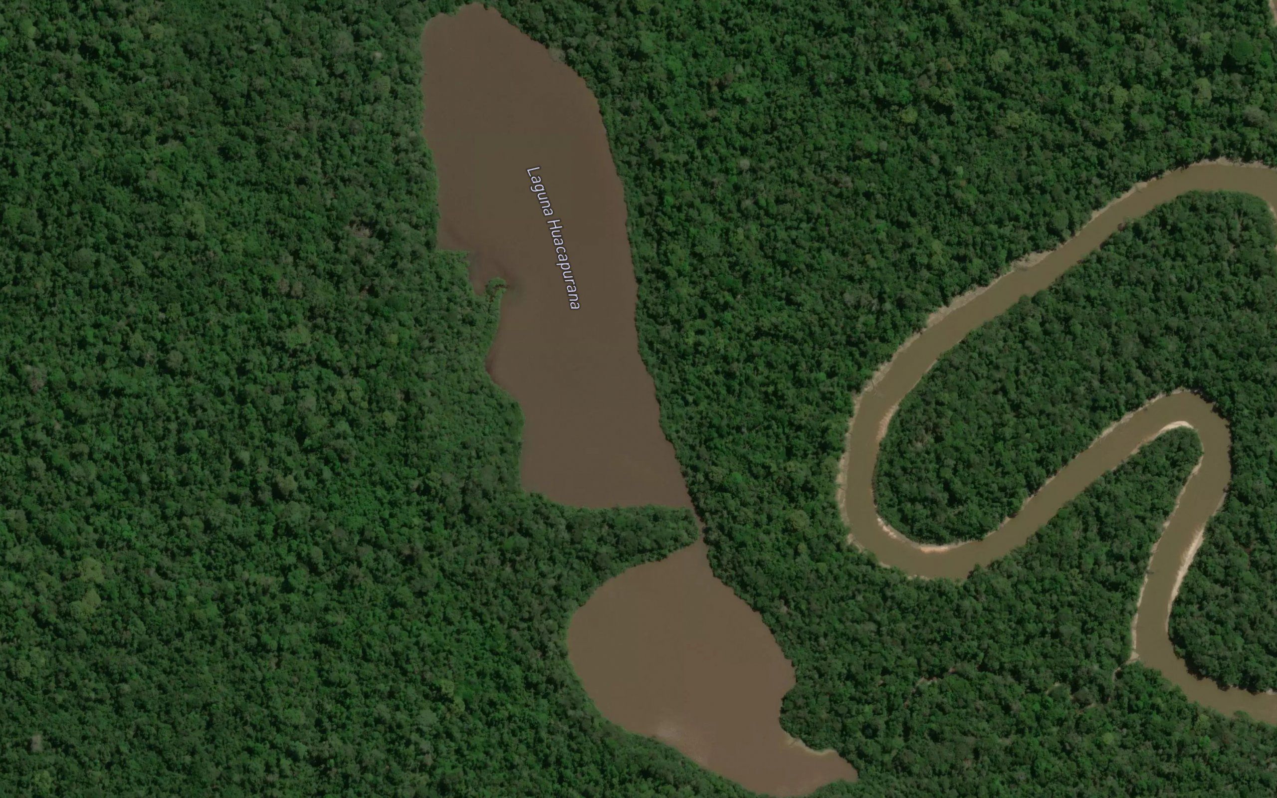 Laguna Huacapurana