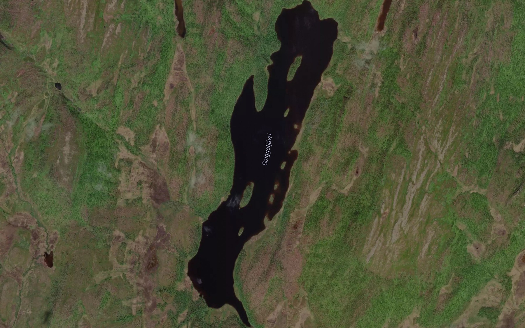 Satellite map of the Galgutjavri