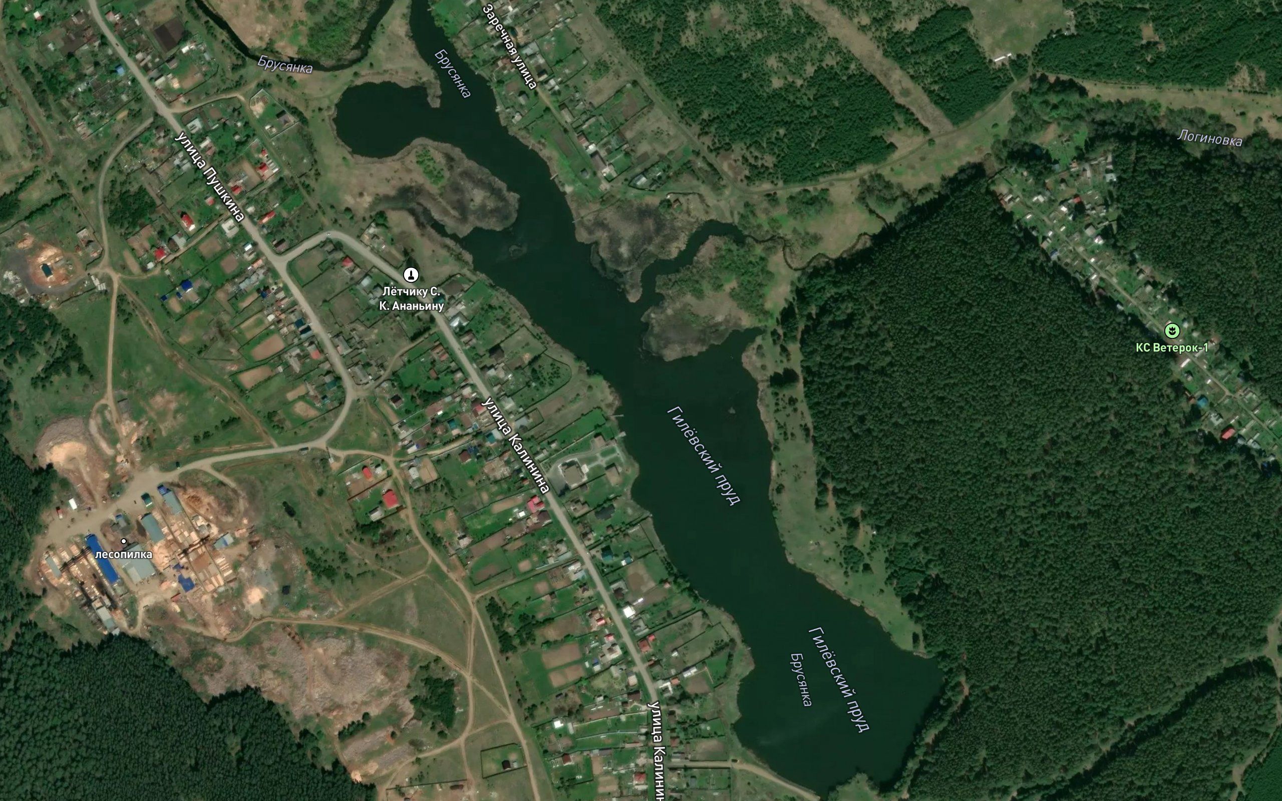 Loginovka