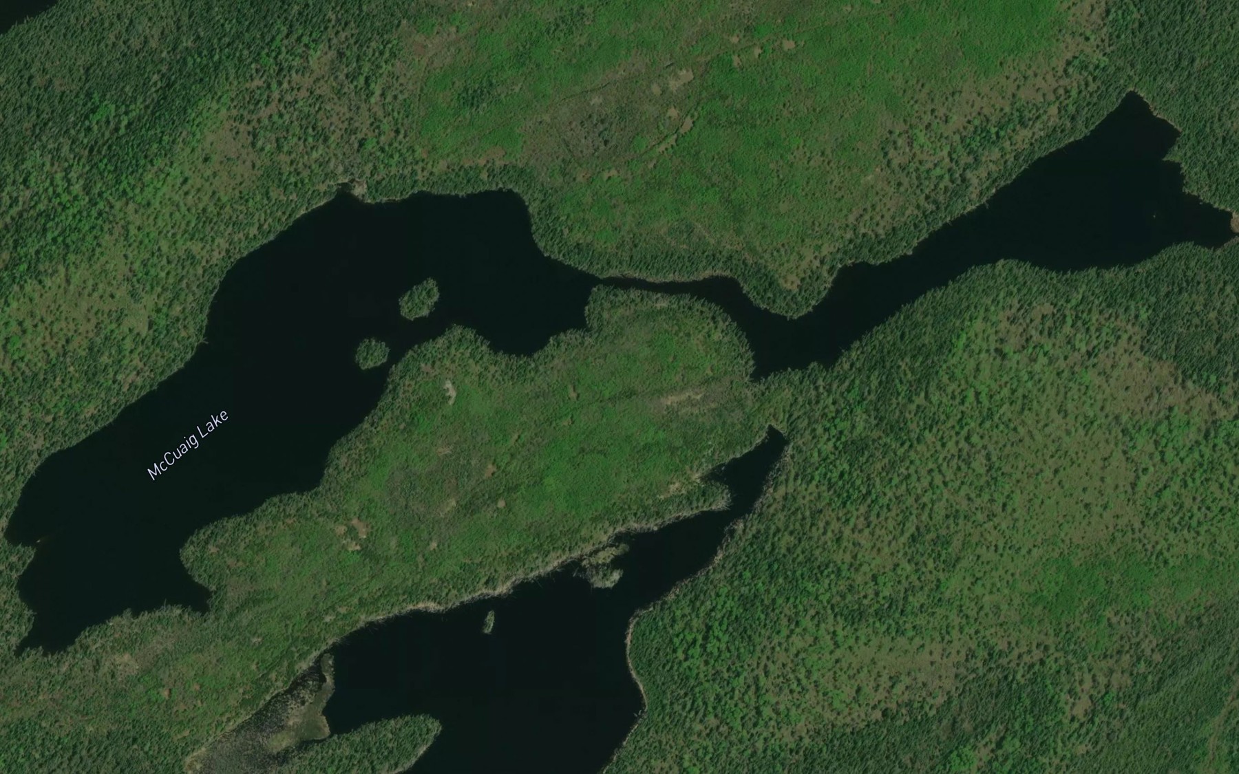 Satellite map of the McCuaig Lake
