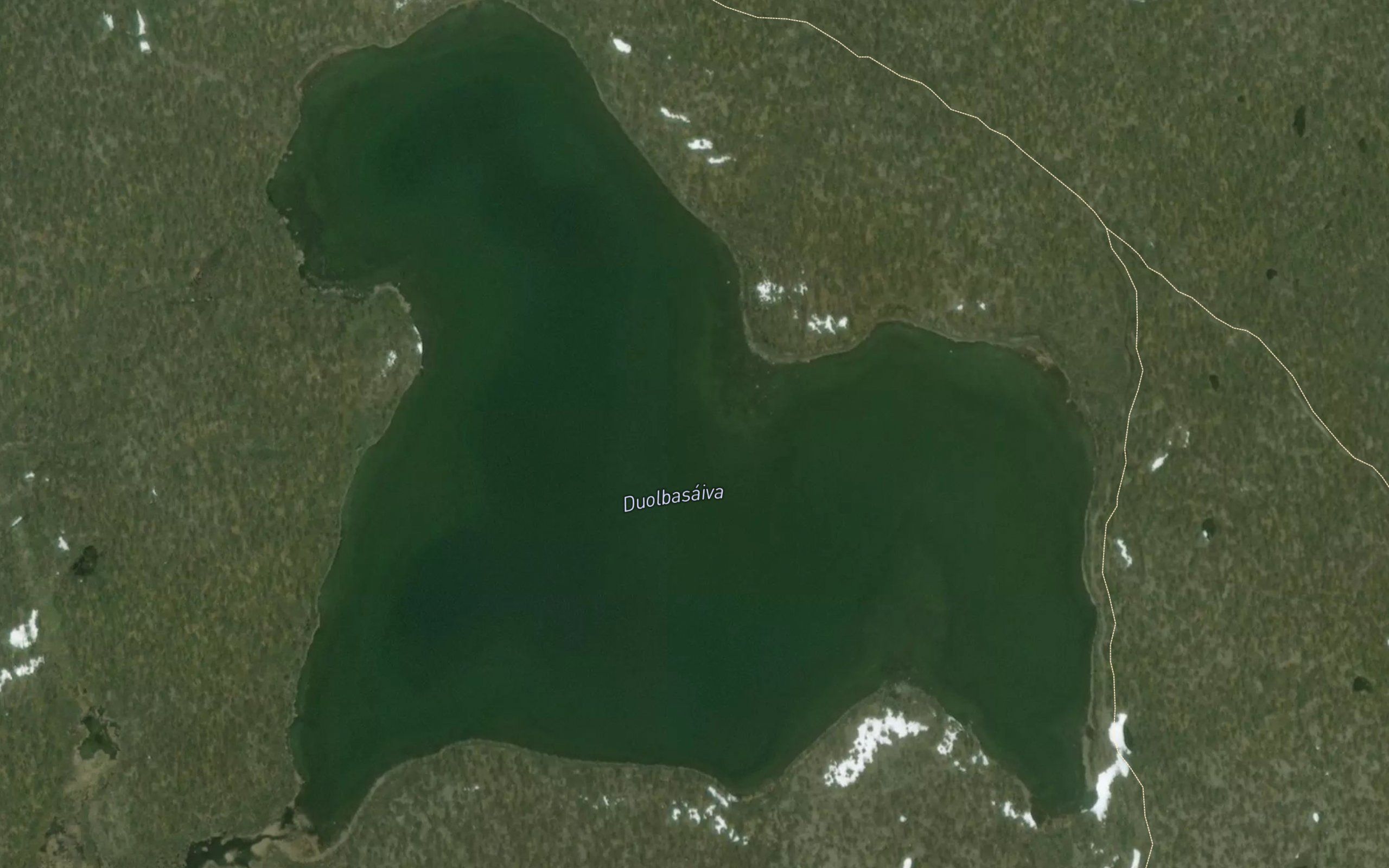 Duolbasaiva