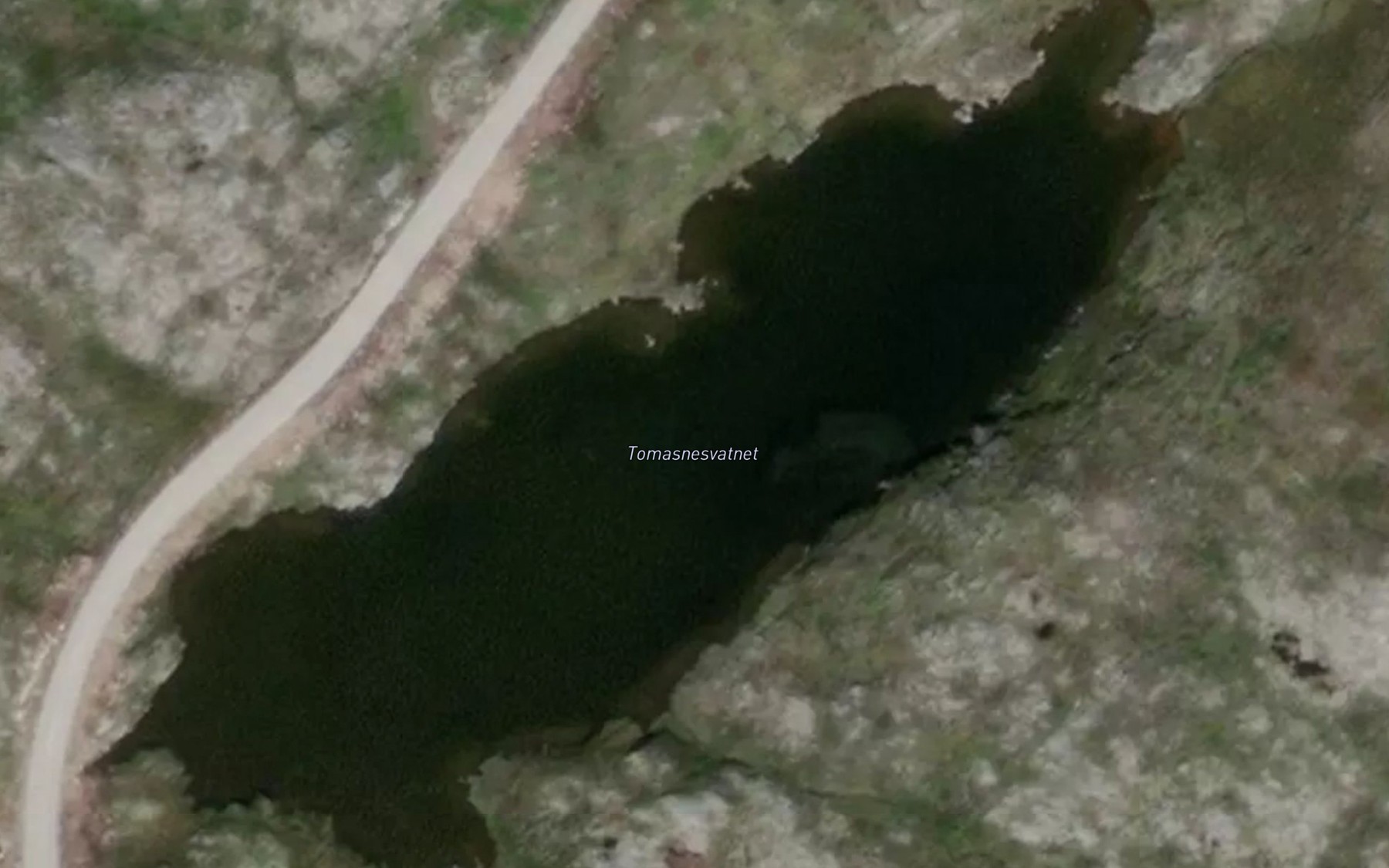 Satellite map of the Tomasnesvatnet