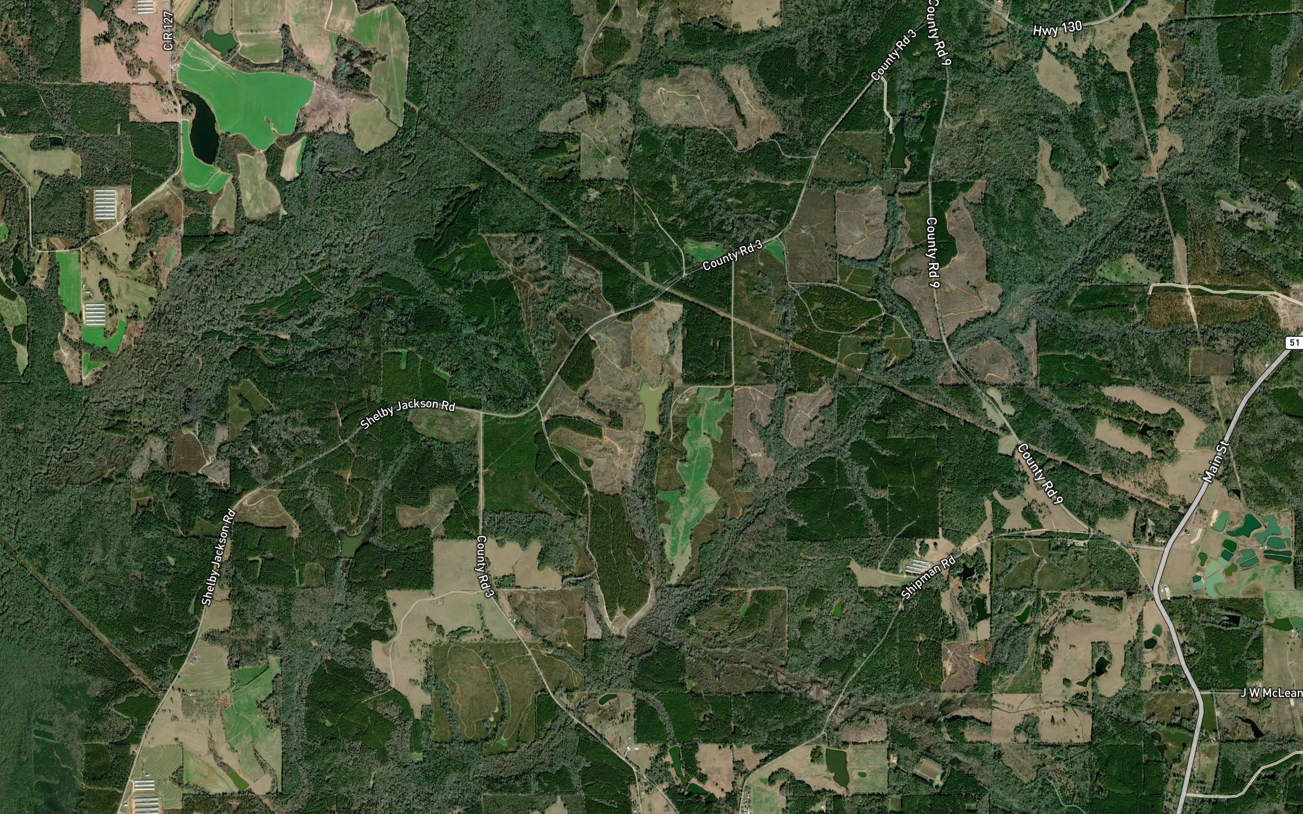 Jacksons Pond