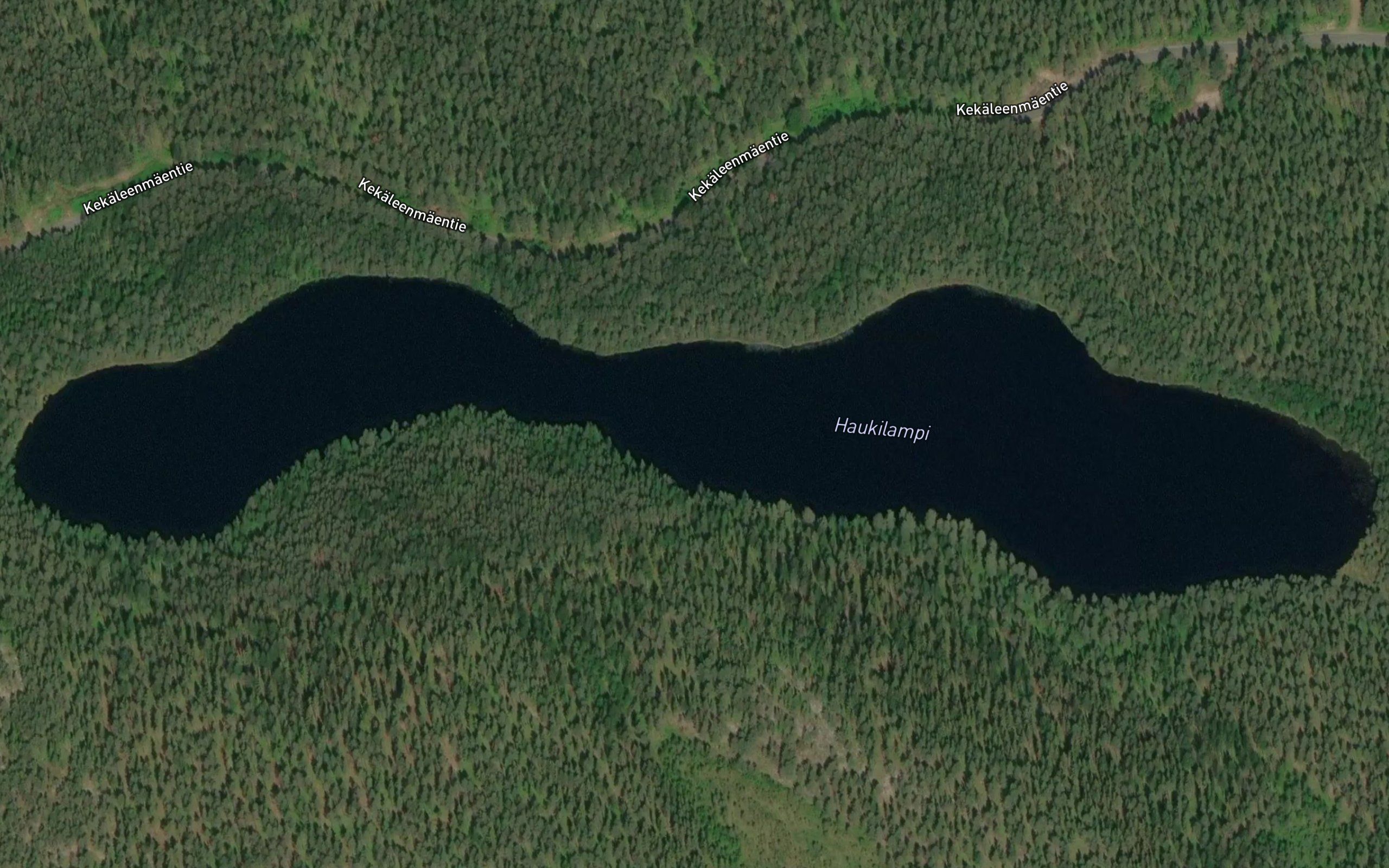 Haukilampi