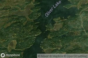 Oliver Lake