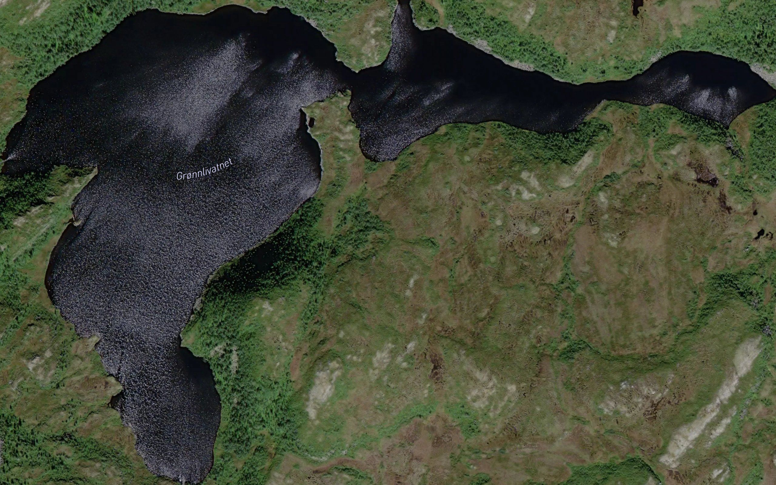 Gronlivatnet