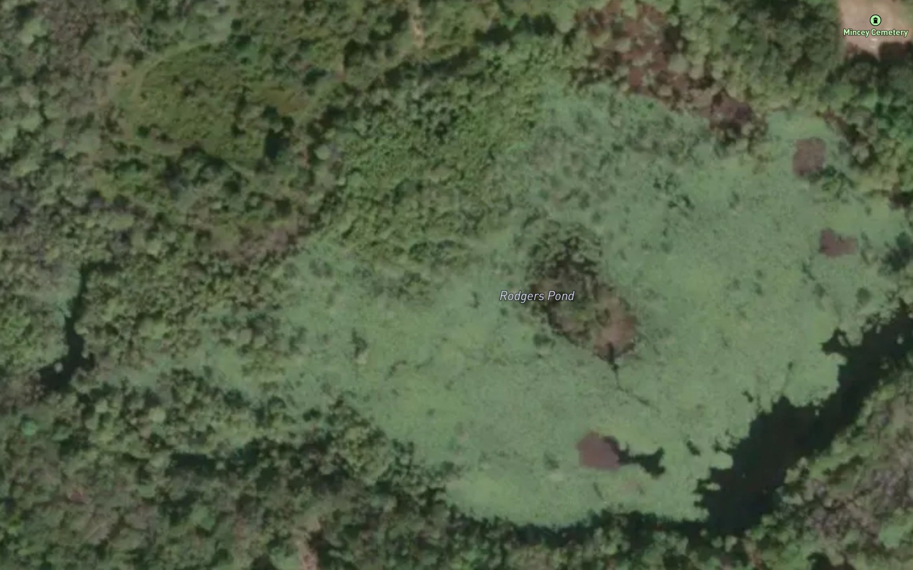 Satellite map of the Rodgers Pond