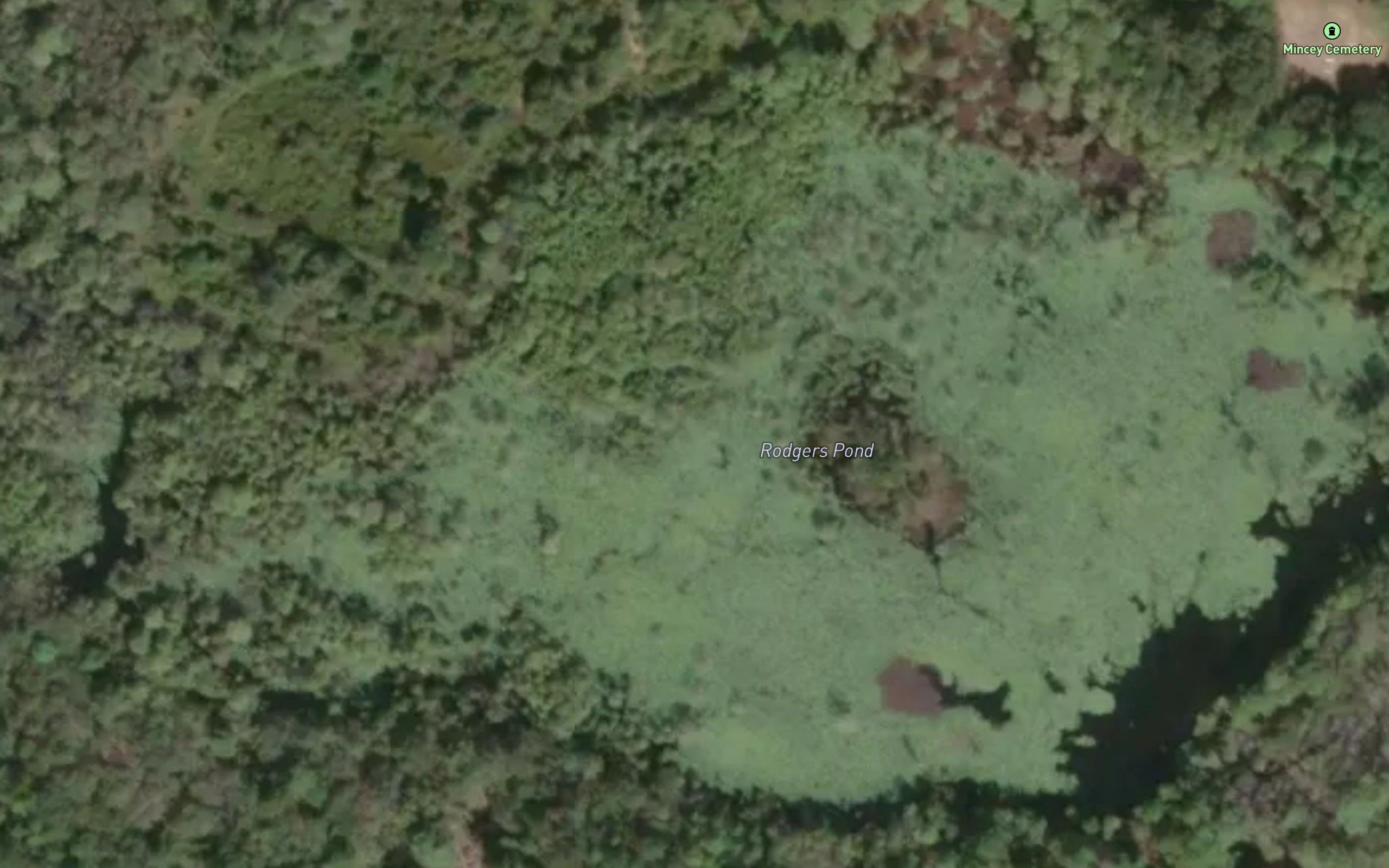 Rodgers Pond