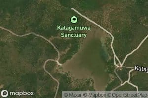 Katagamuwa Wewa