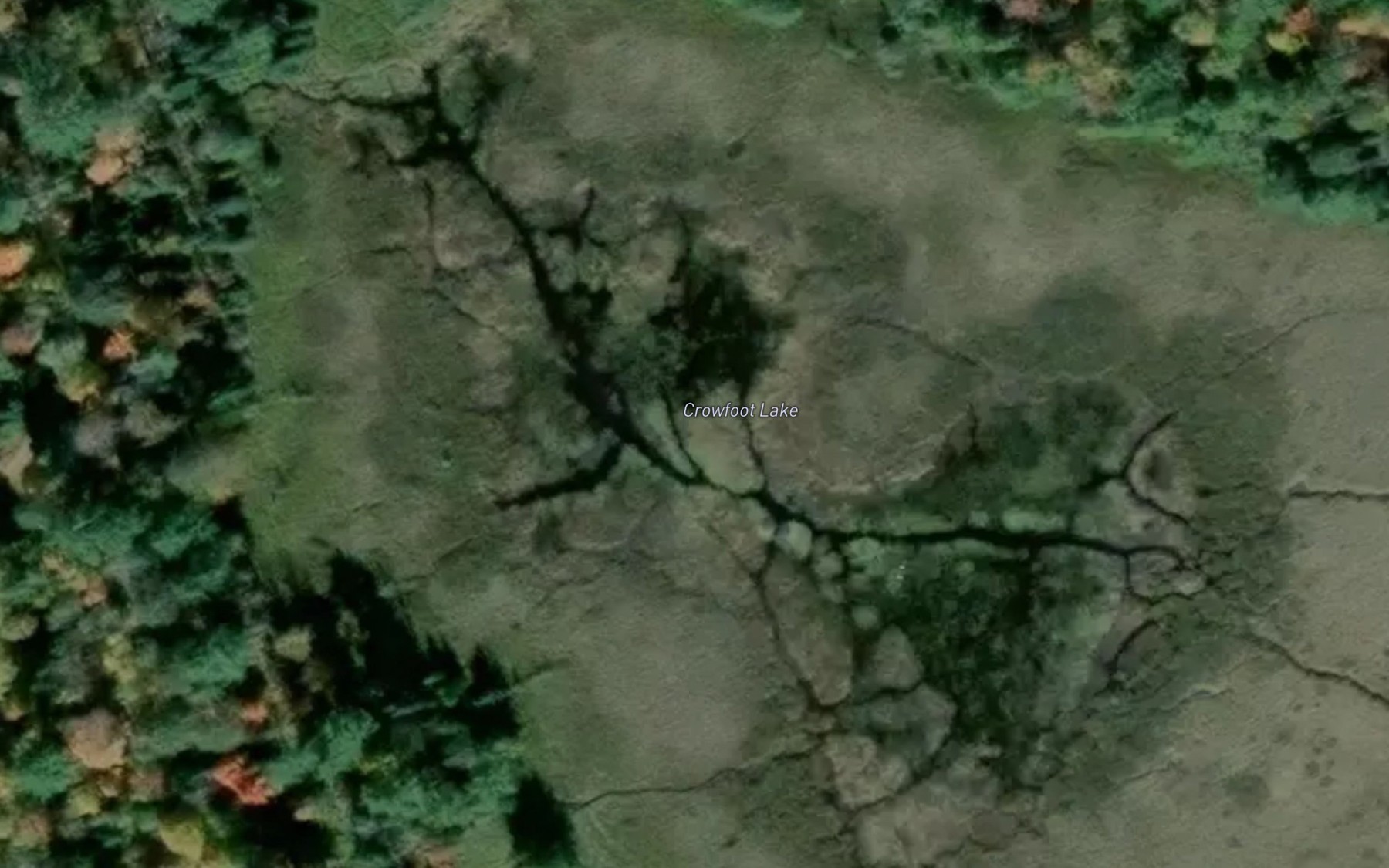 Satellite map of the Crowfoot Lake