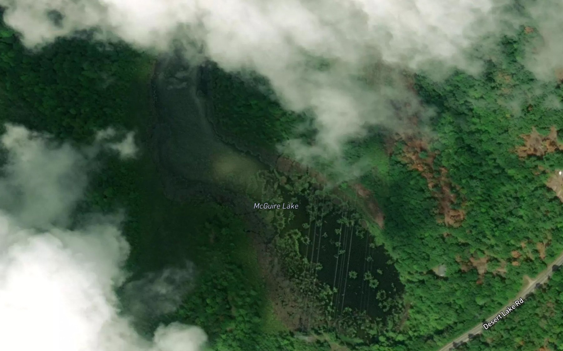 Satellite map of the McGuire Lake