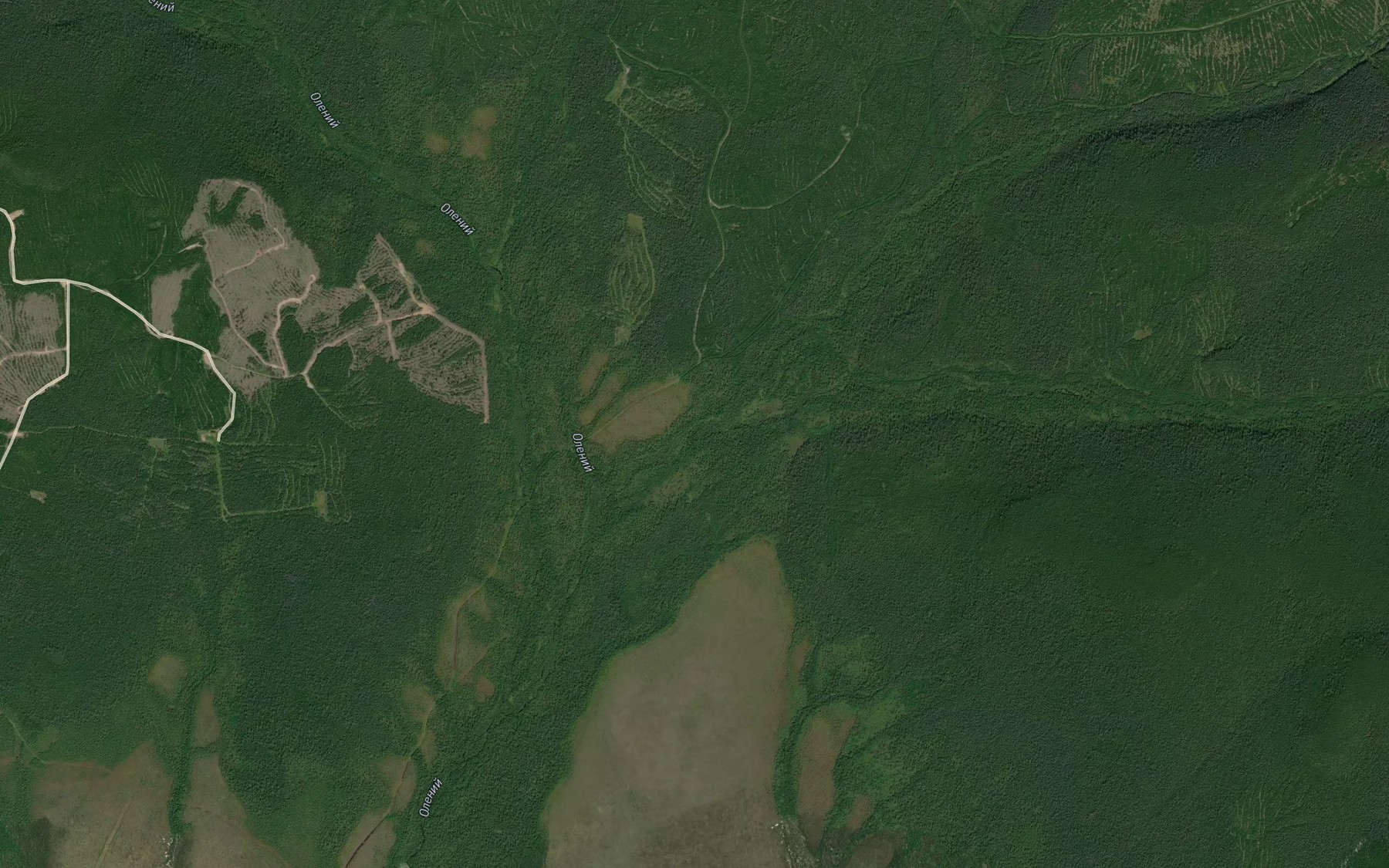 Satellite map of the Lesistyy