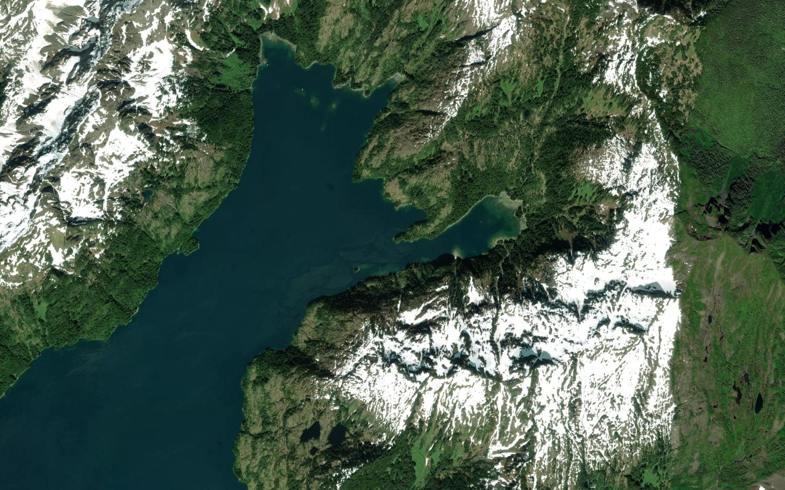 Northeast Arm