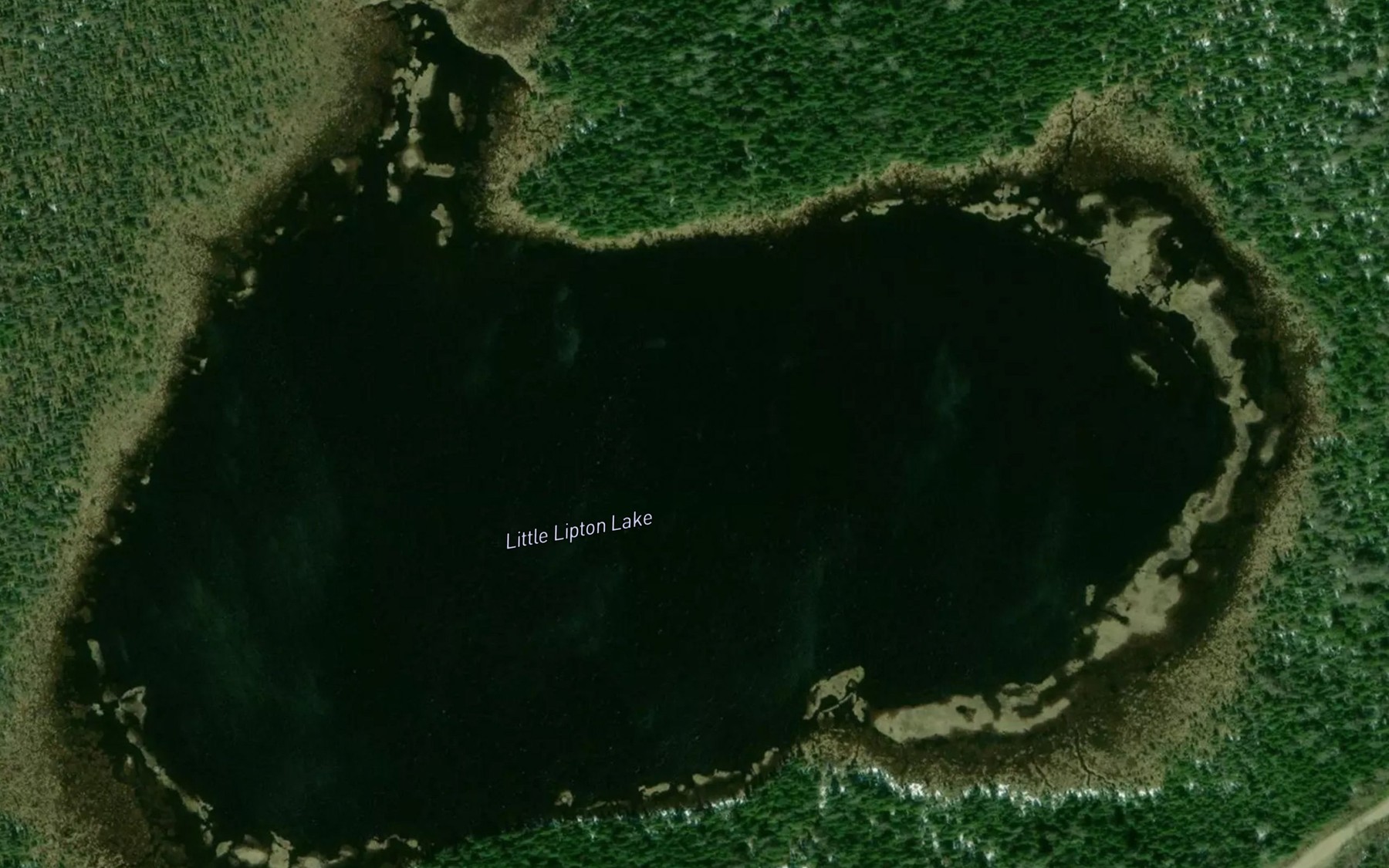 Satellite map of the Little Lipton Lake
