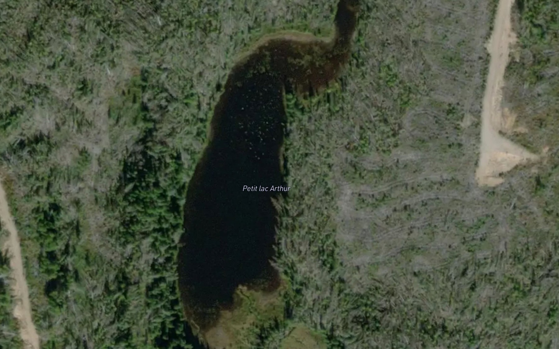 Satellite map of the Petit lac Arthur
