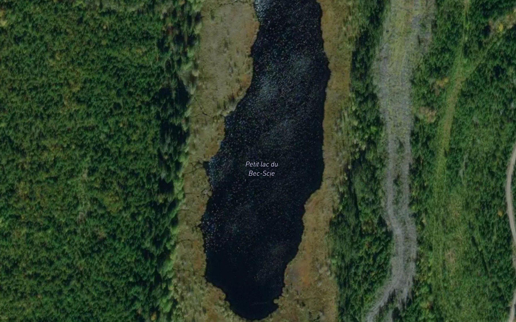 Satellite map of the Petit lac du Bec-Scie