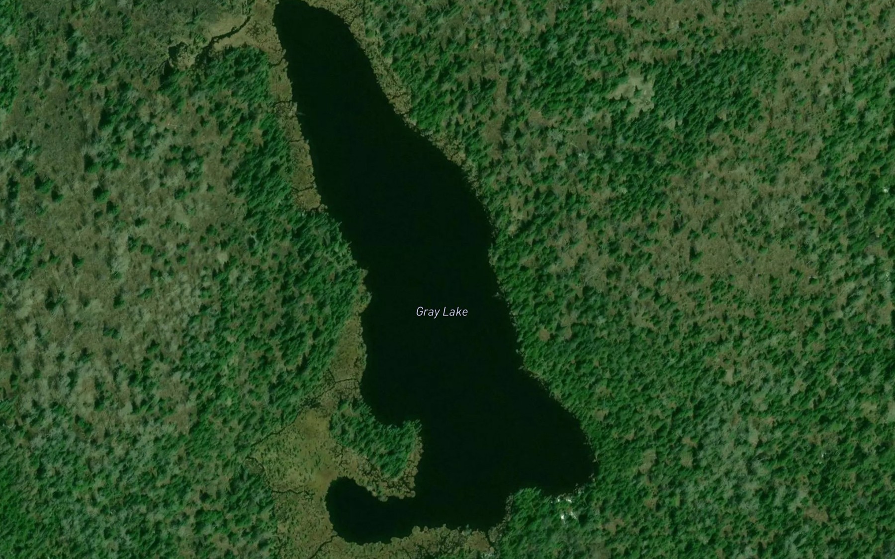 Satellite map of the Gray Lake