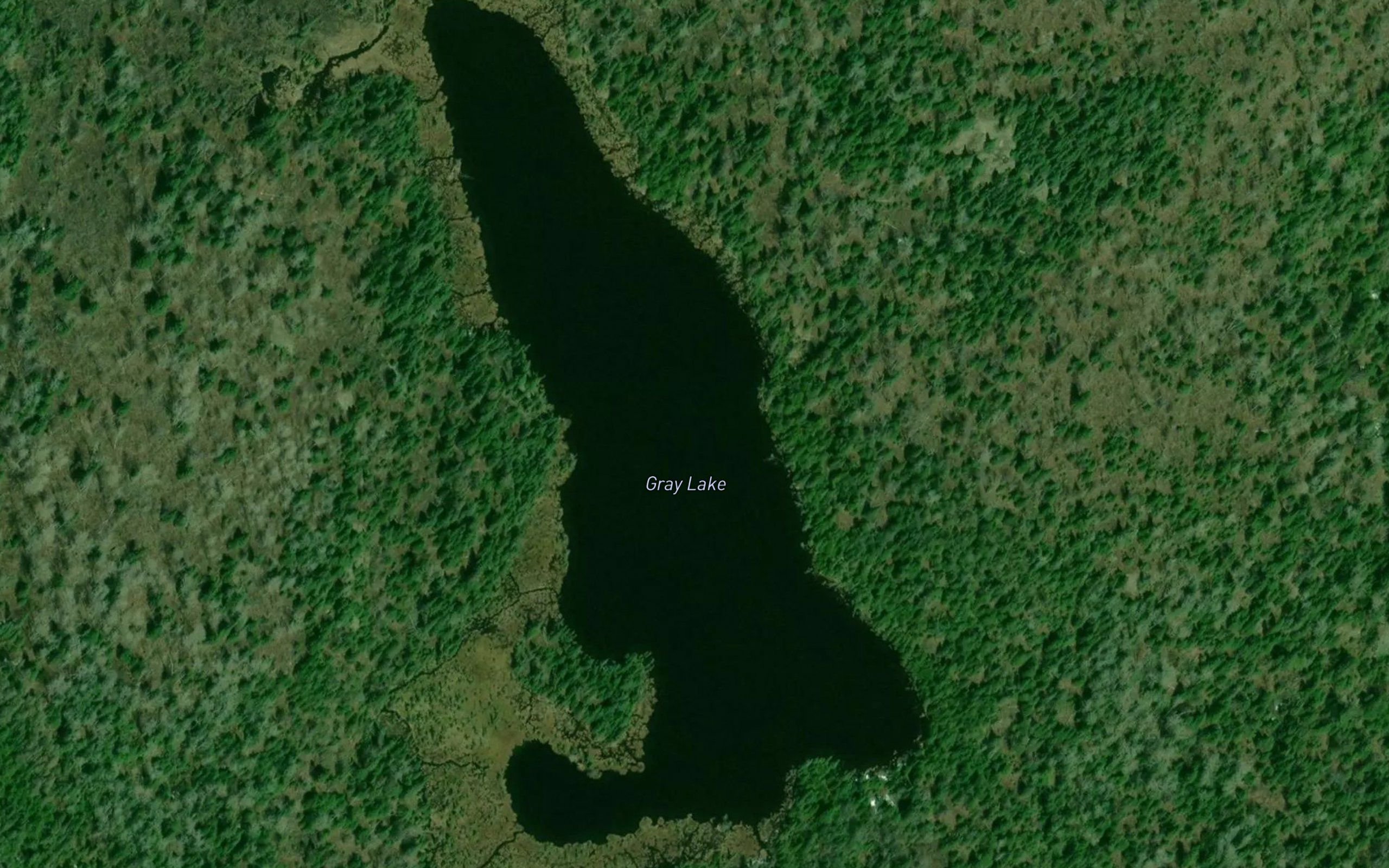 Gray Lake