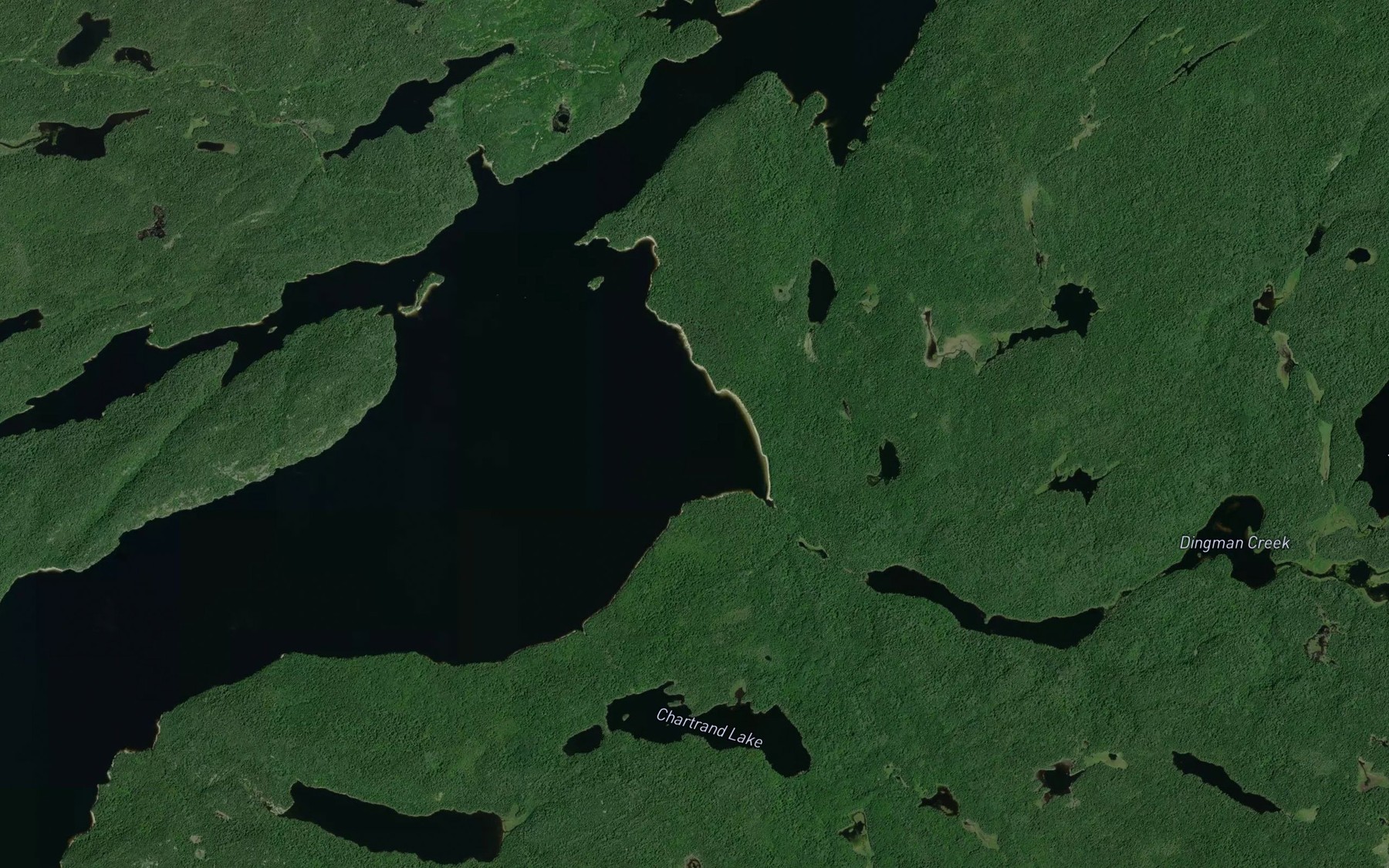 Satellite map of the Dingman Bay