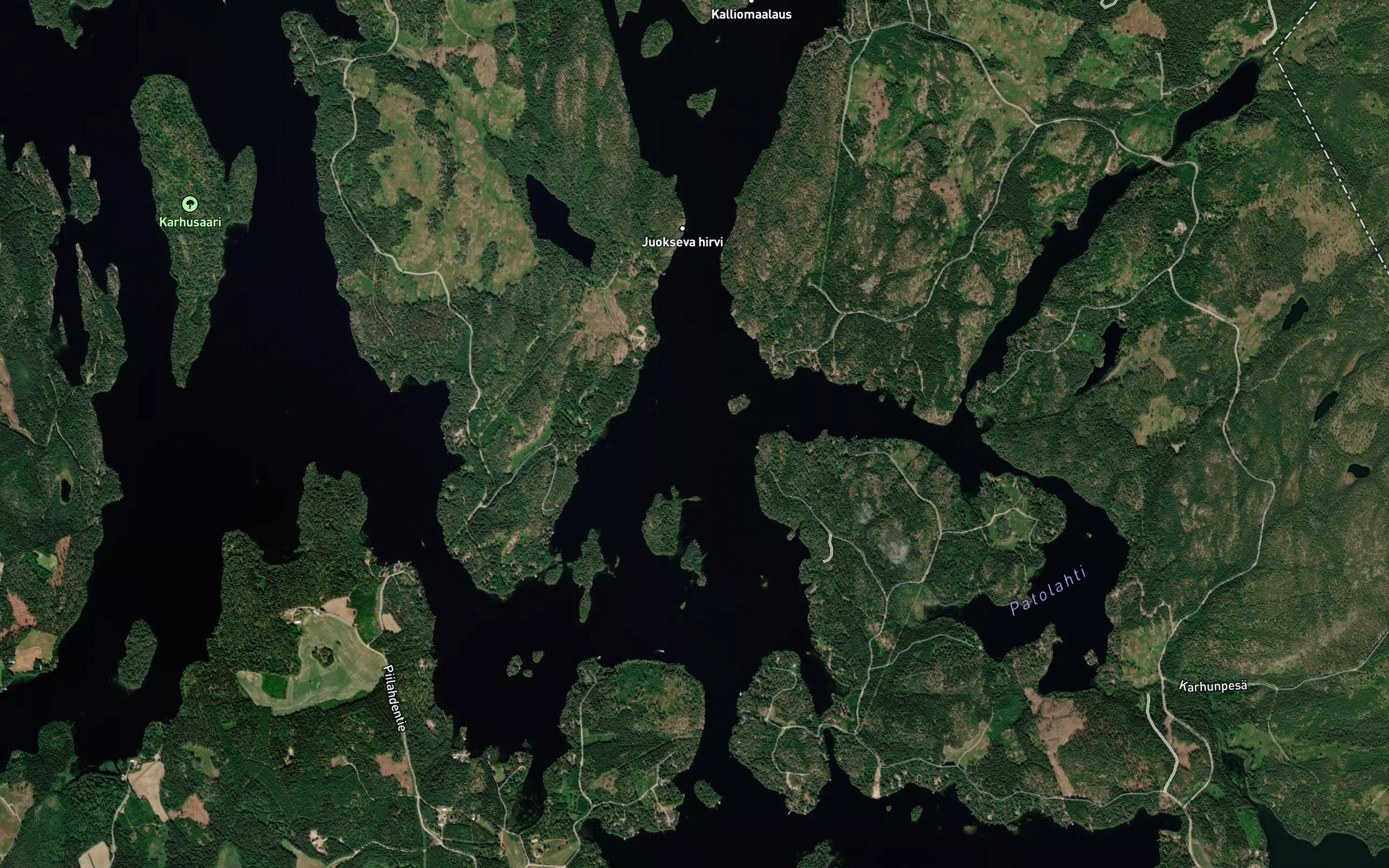 Haukkaselka