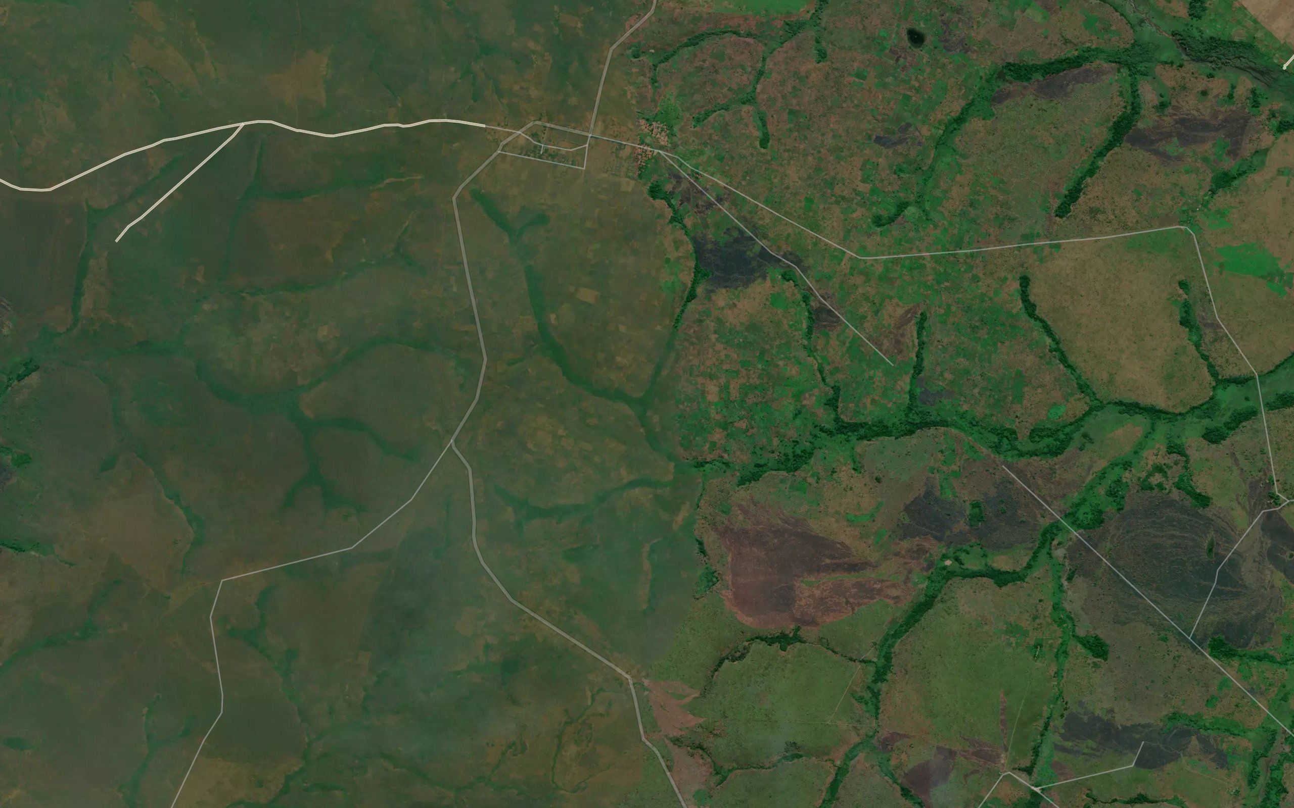 Kamba