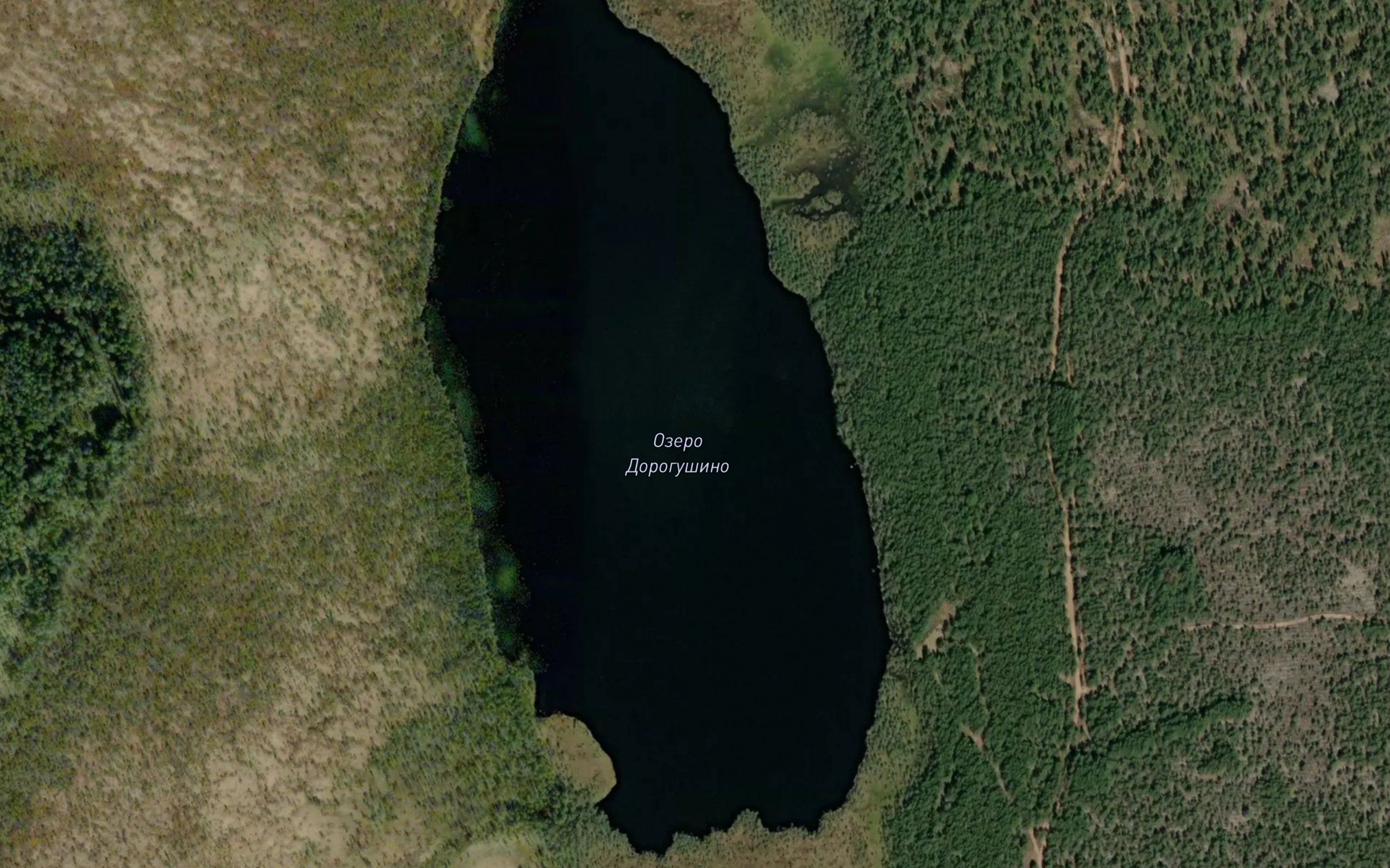 Ozero Dorogushino