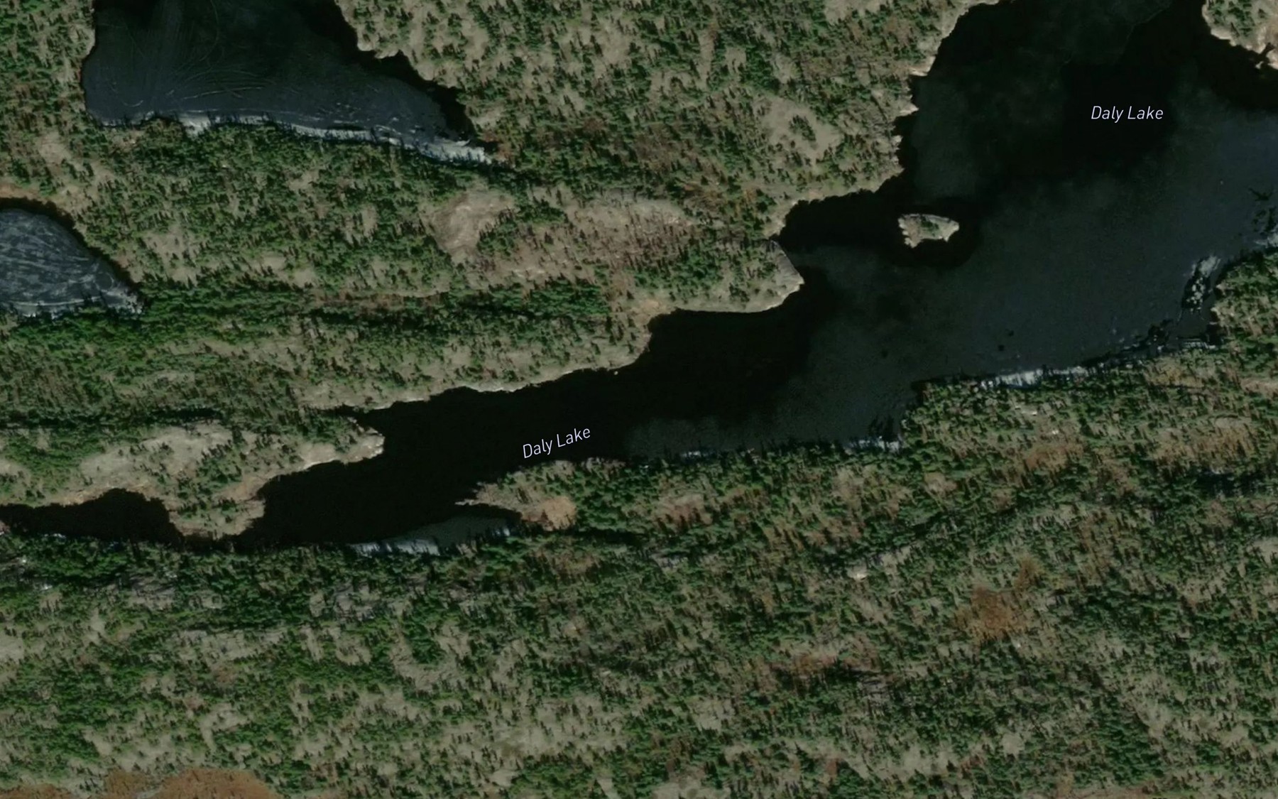Satellite map of the Daly Lake