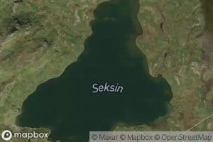 Seksin