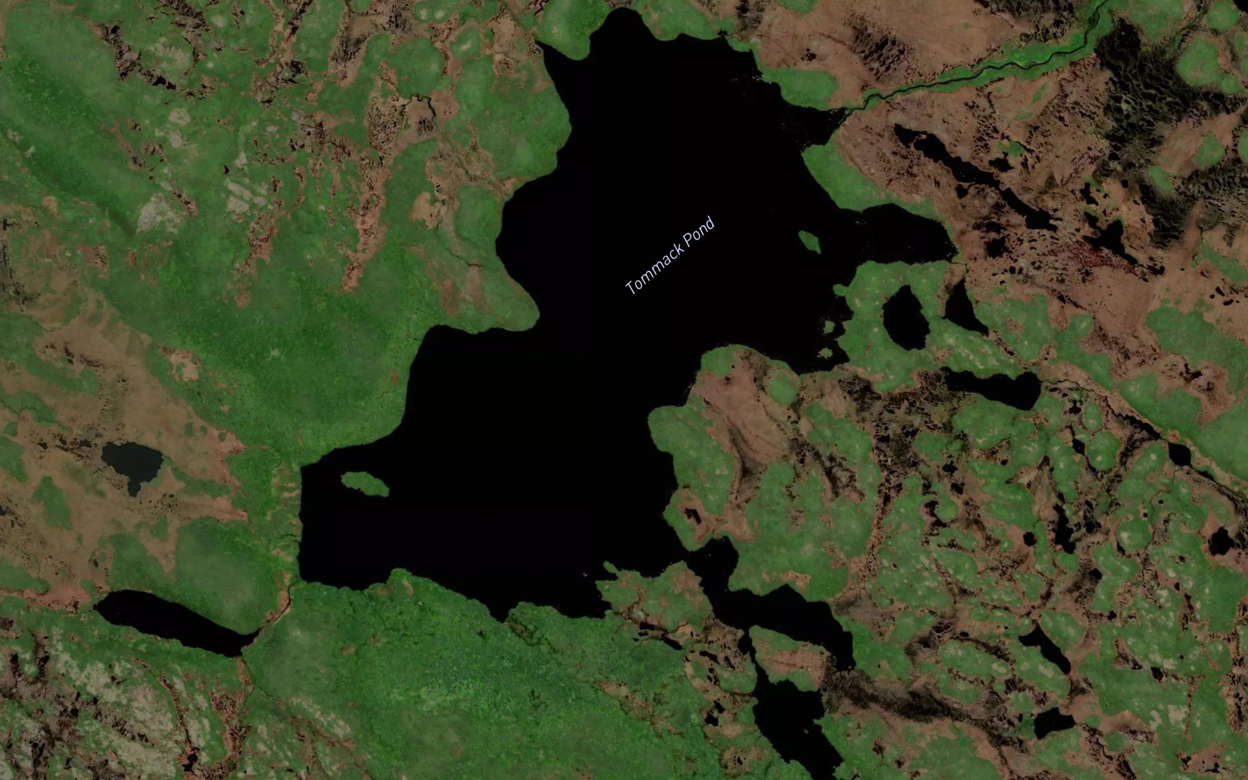 Tommack Pond