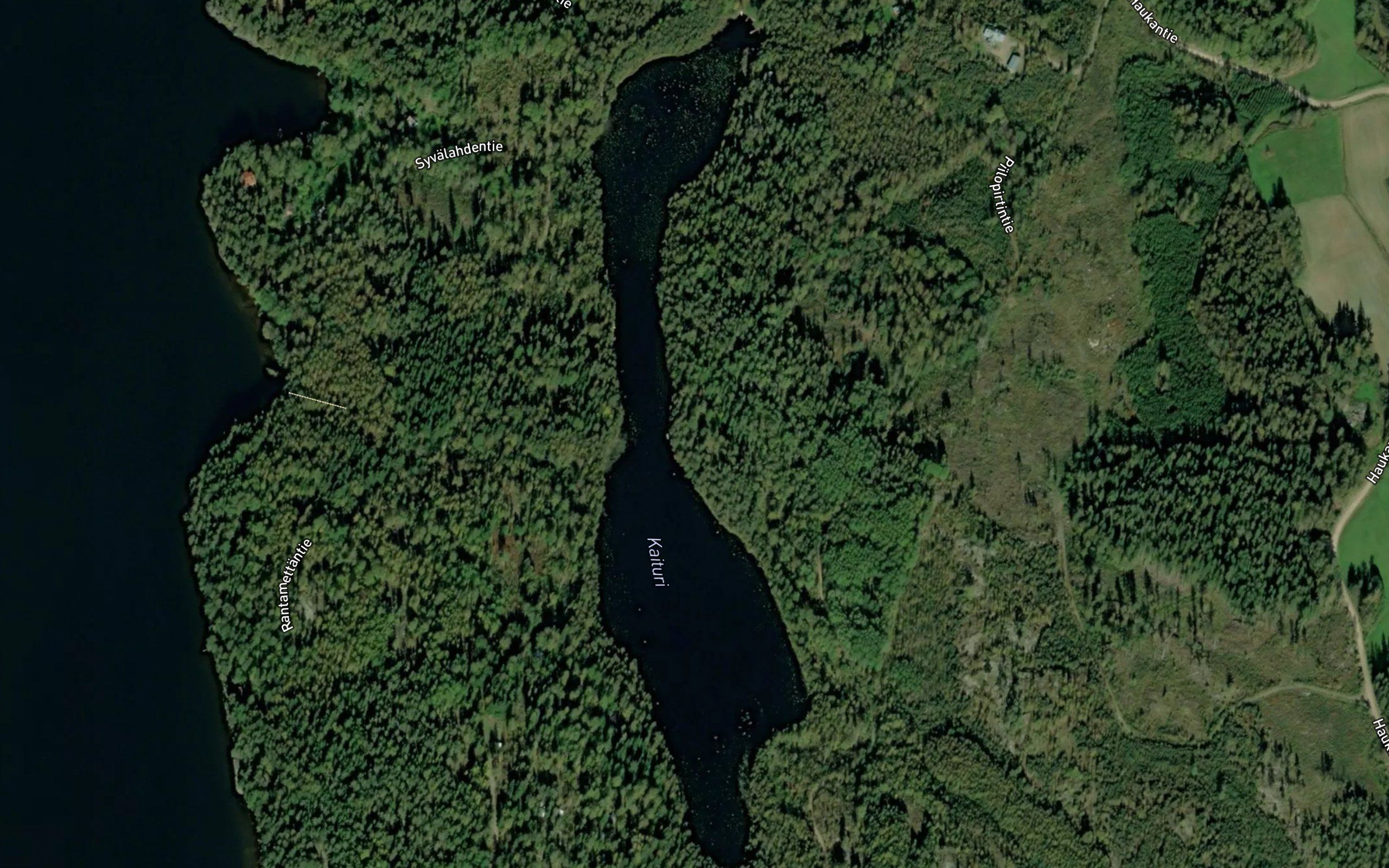 Kaituri