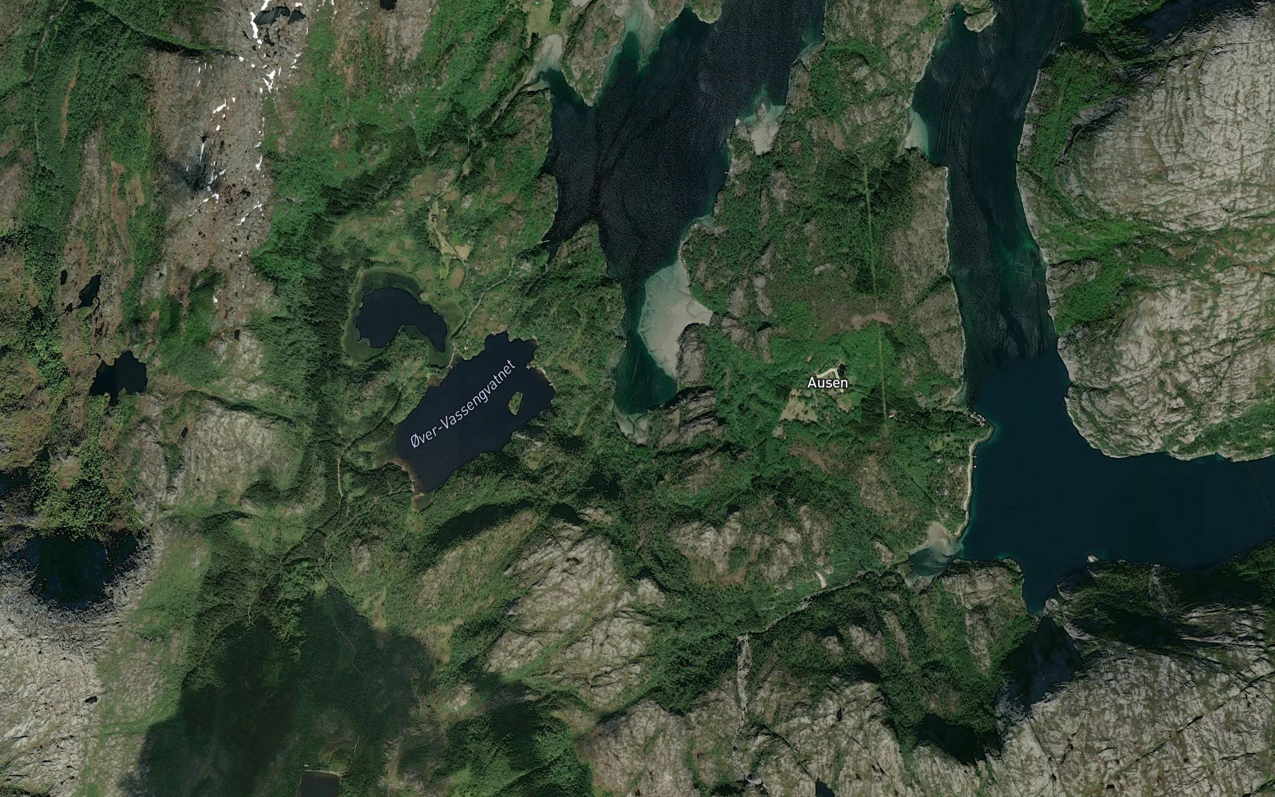 Hestvikja
