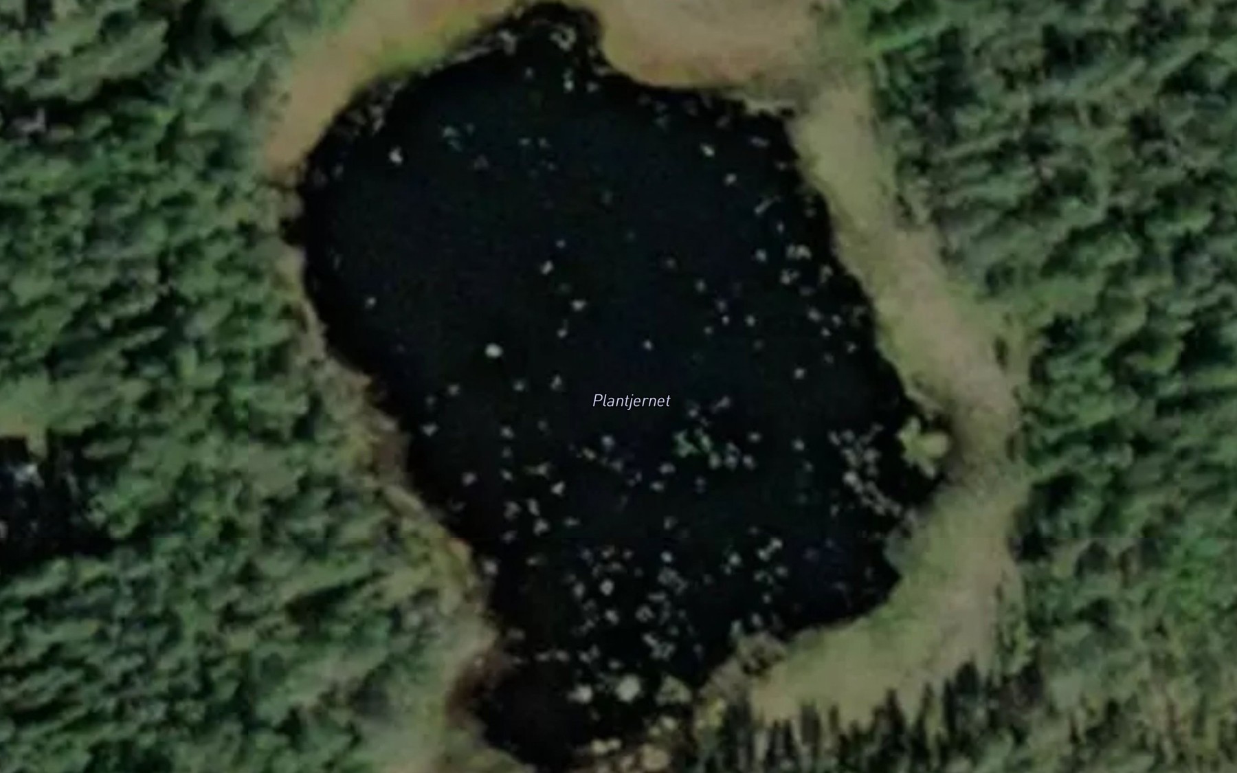 Satellite map of the Plantjennet
