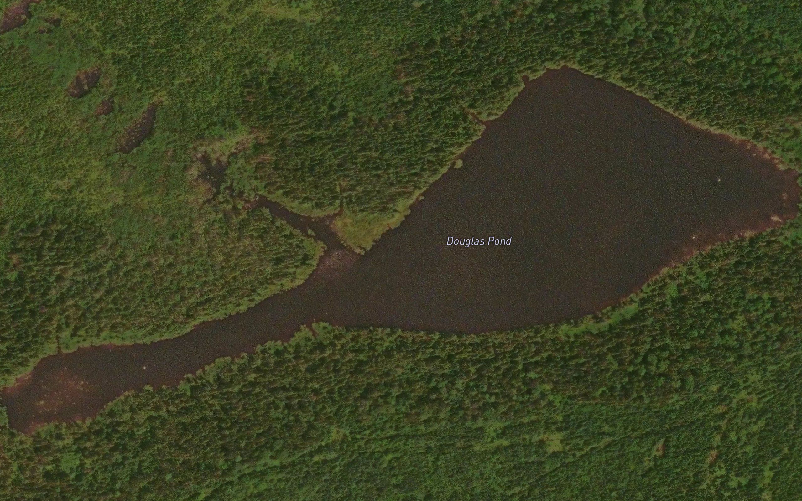 Douglas Pond