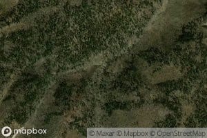 Willow Corral SPring