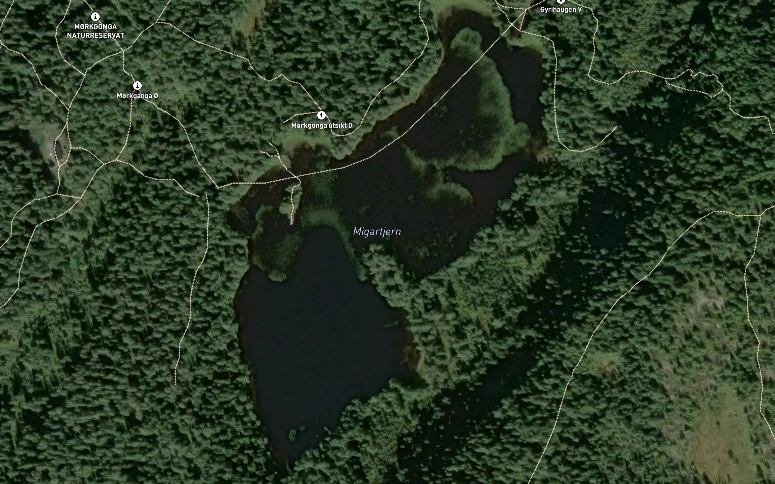 Migertjern