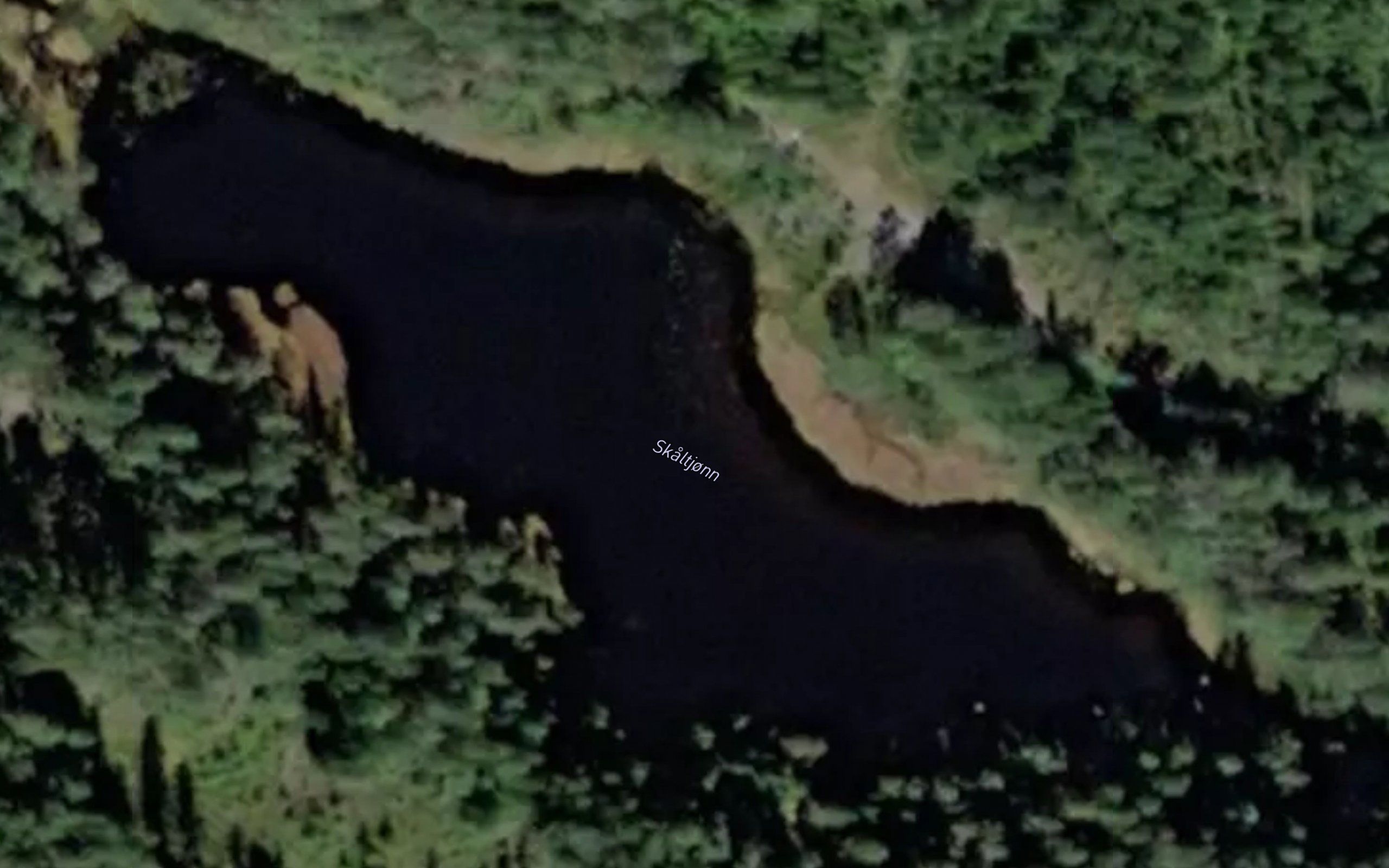 Skaltjonn