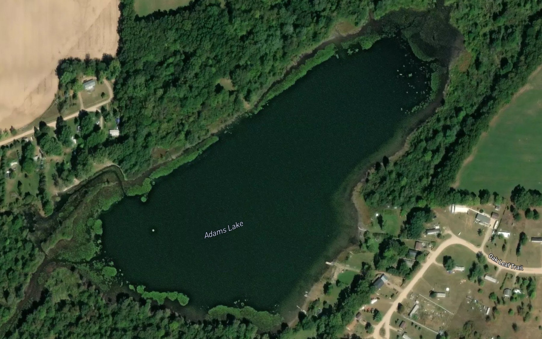 Satellite map of the Adams Lake