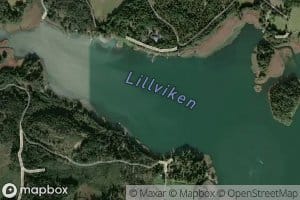 Lillviken