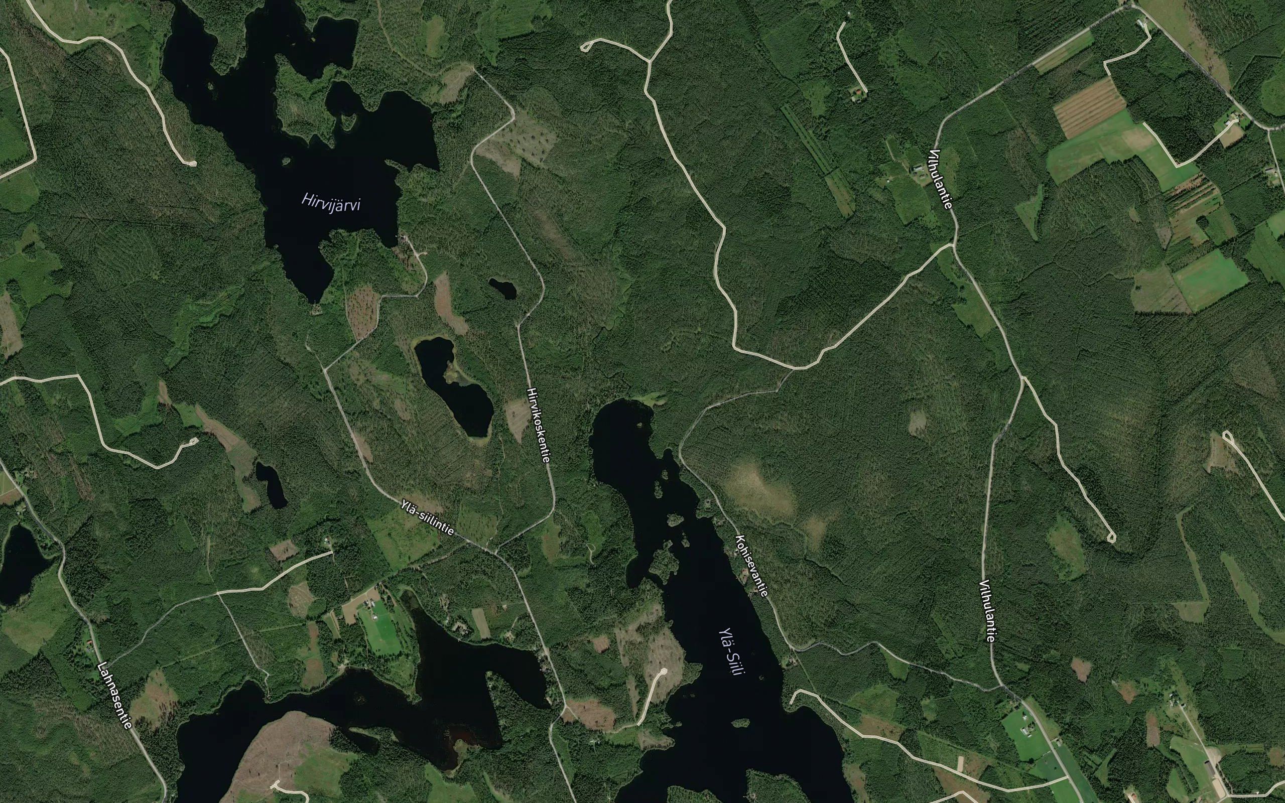 Vasikkapuro