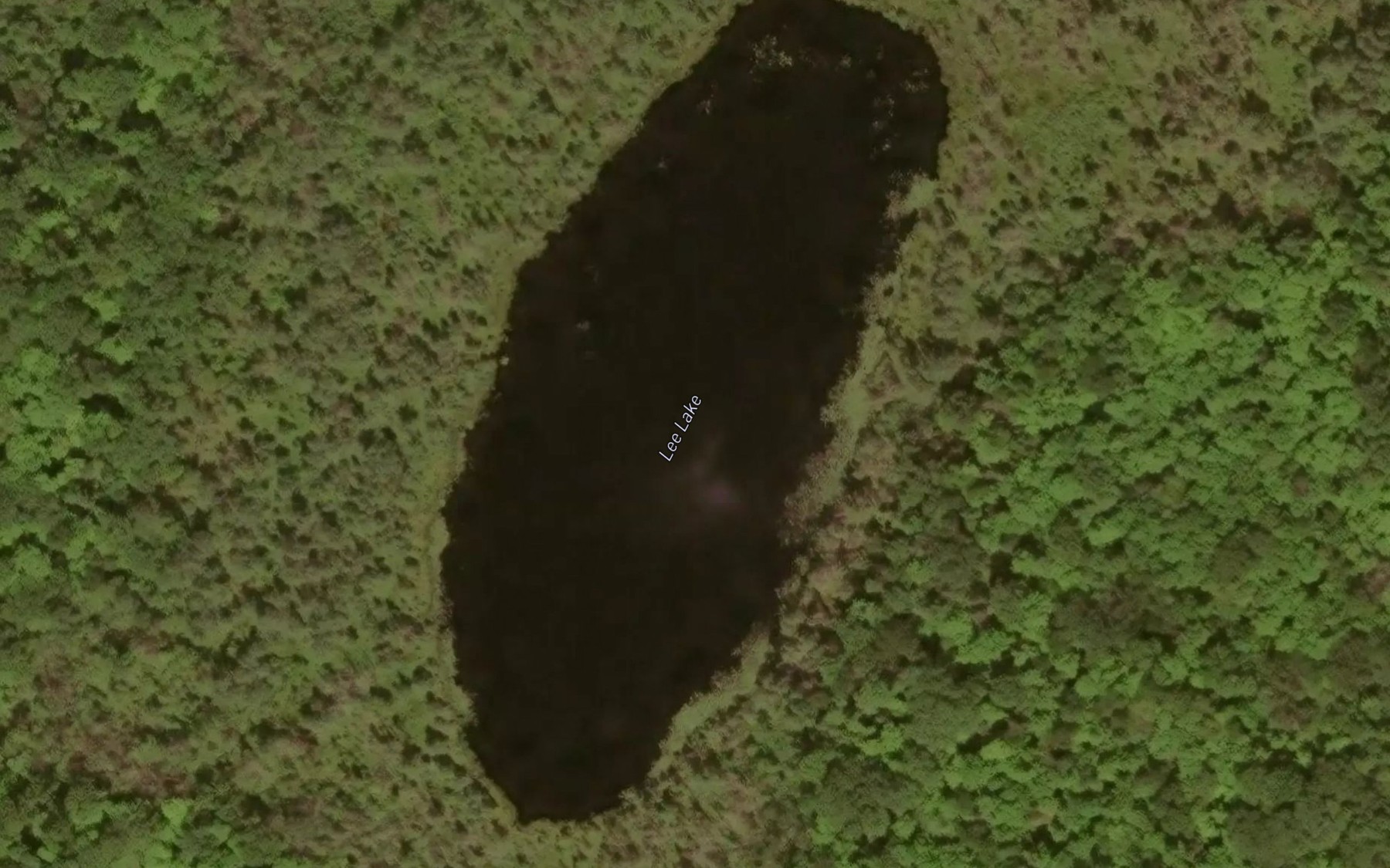 Satellite map of the Lee Lake