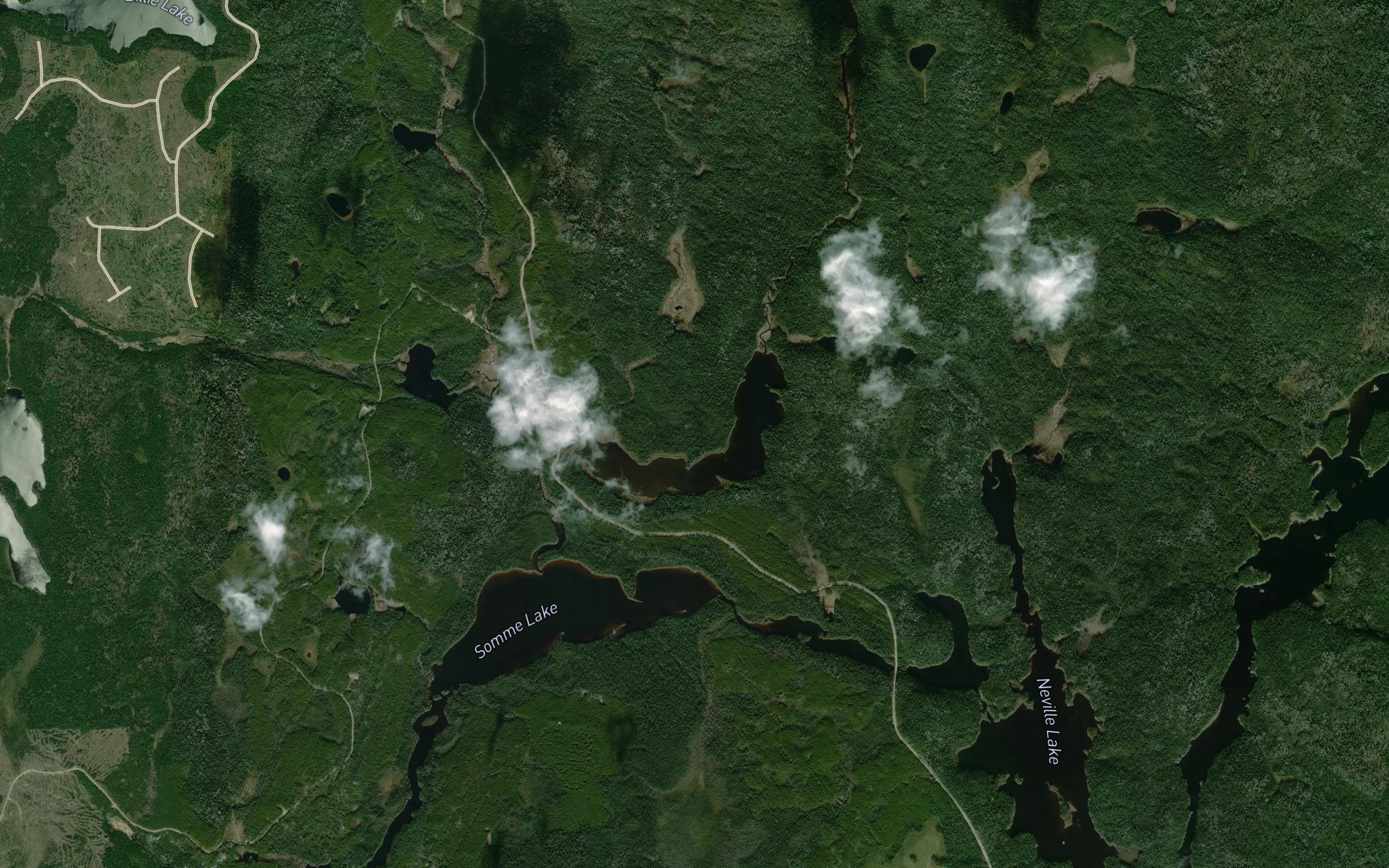 Whalsom Creek