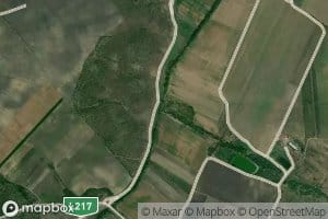 Tershavka