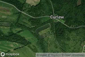 Curlew Lakes