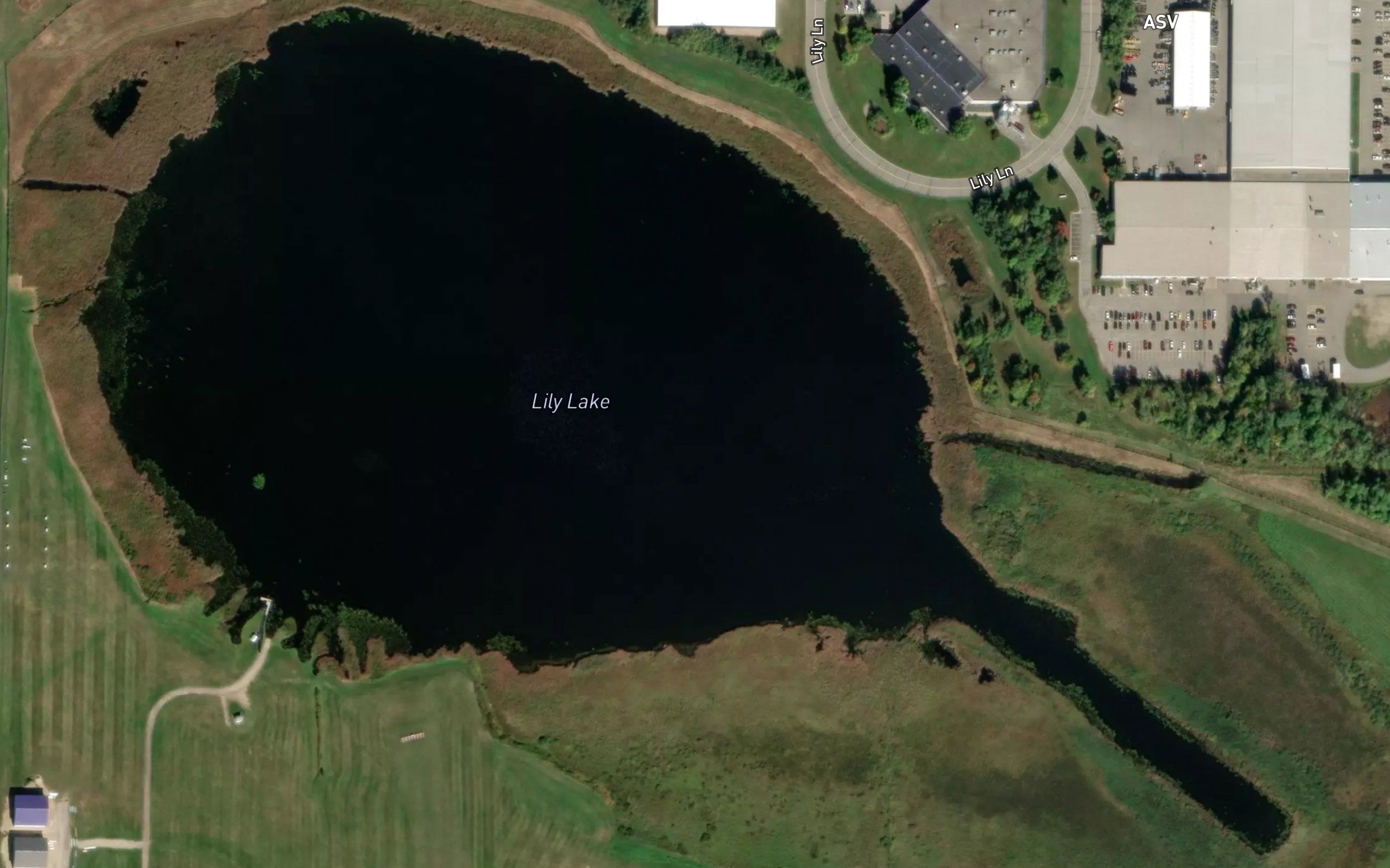 Lily Lake