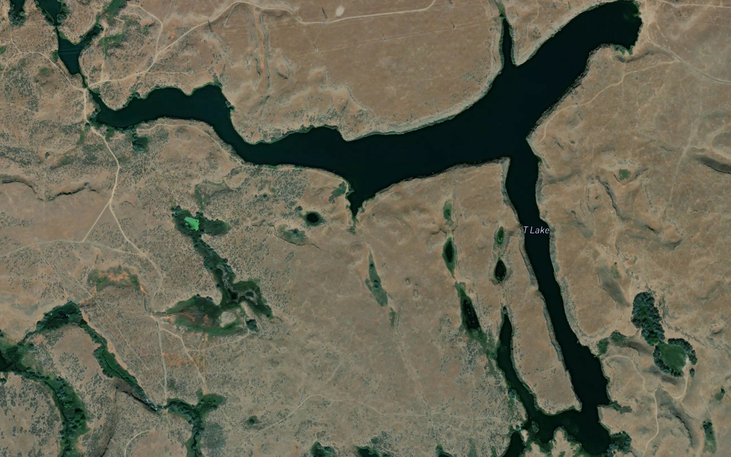 T Lake