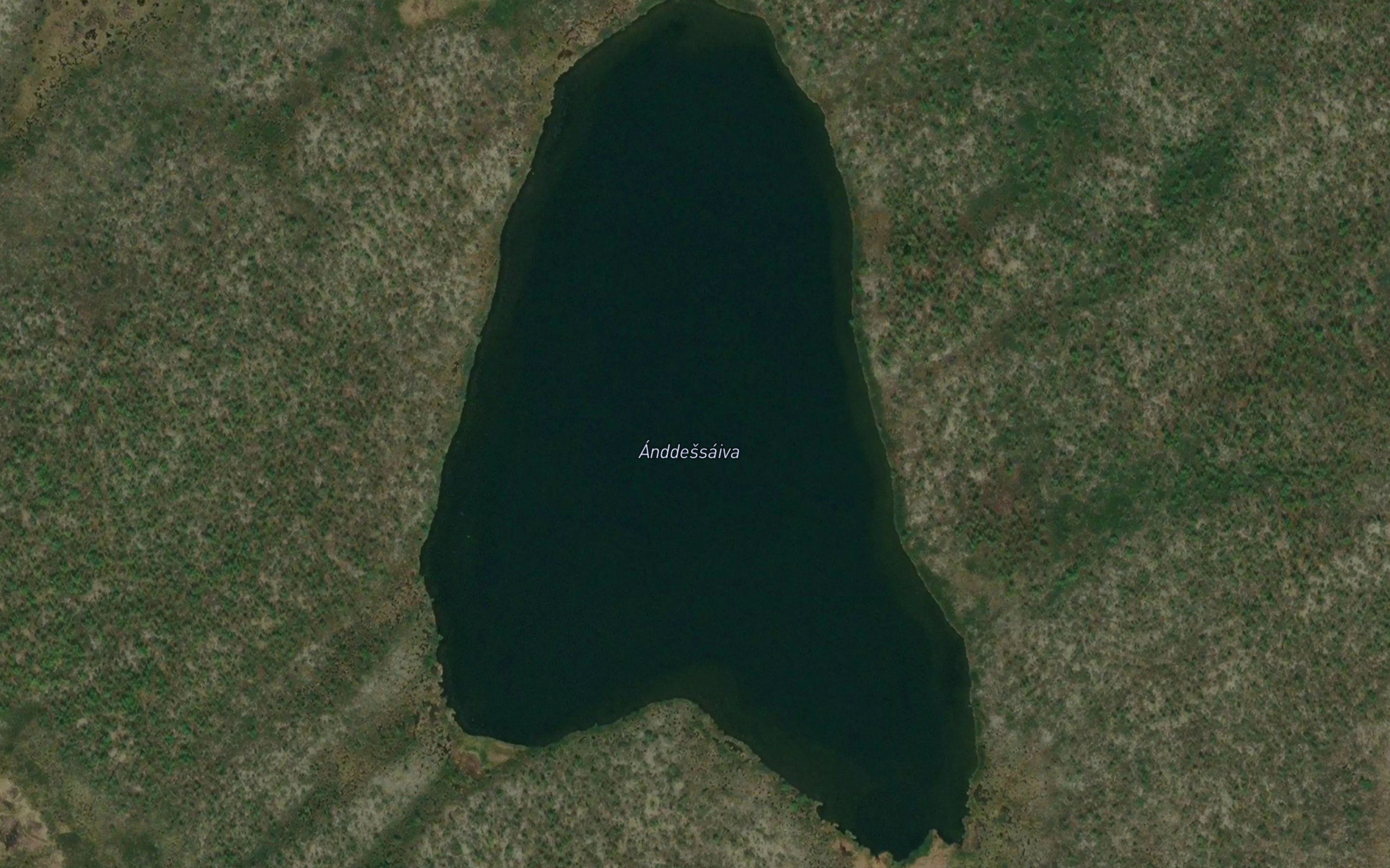 Andessaiva