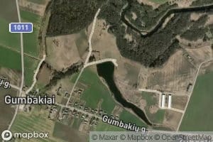 Gumbakiu I Tvenkinys