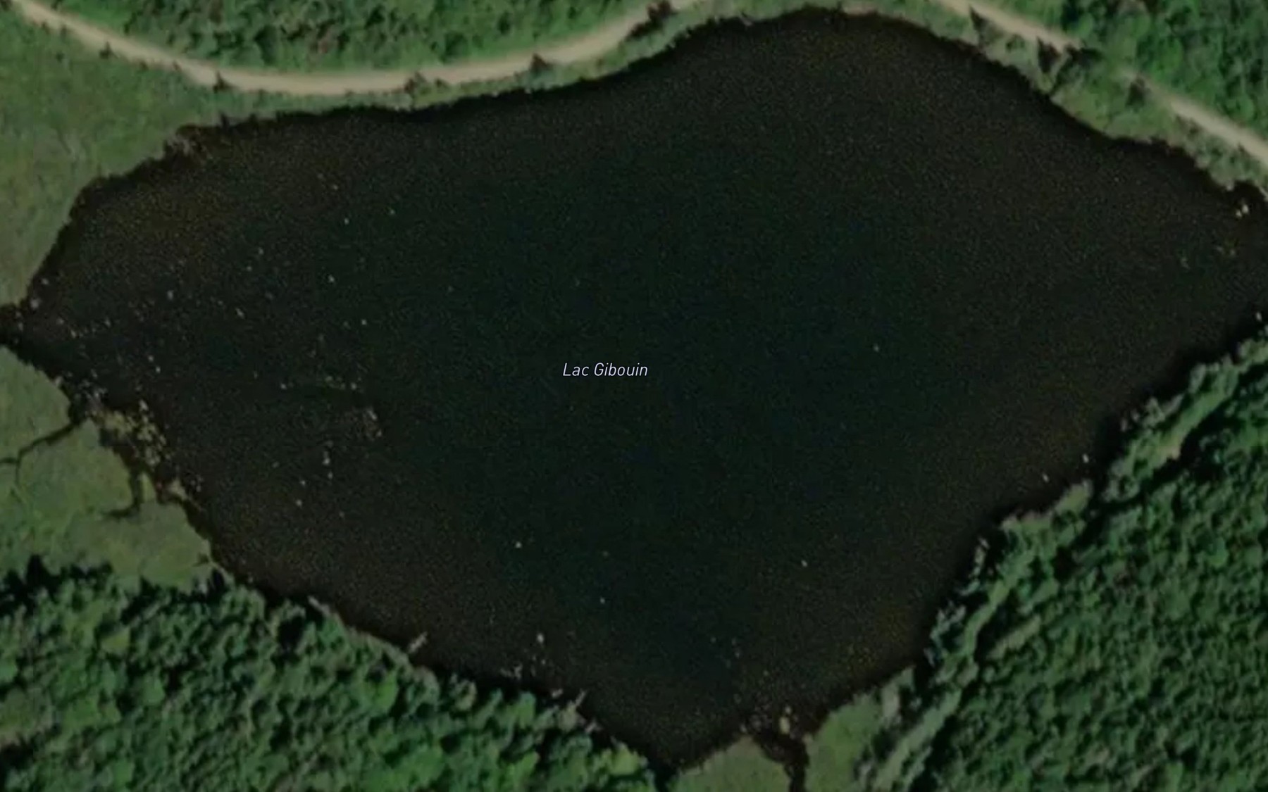 Satellite map of the Lac Gibouin